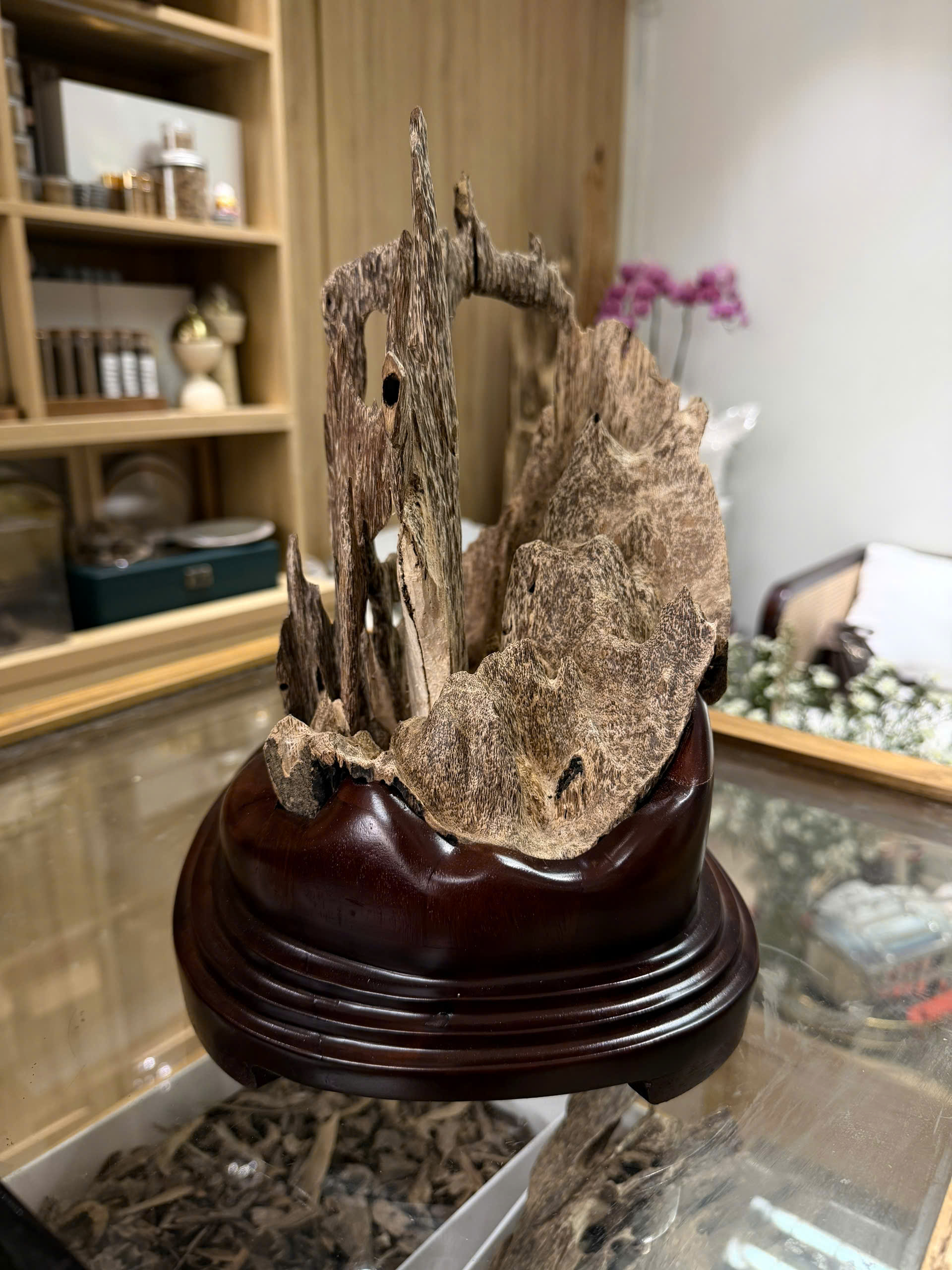 Natural Vietnamese Agarwood Sculpture – Mountain Forest Landscape | Vietnamese Oud Display