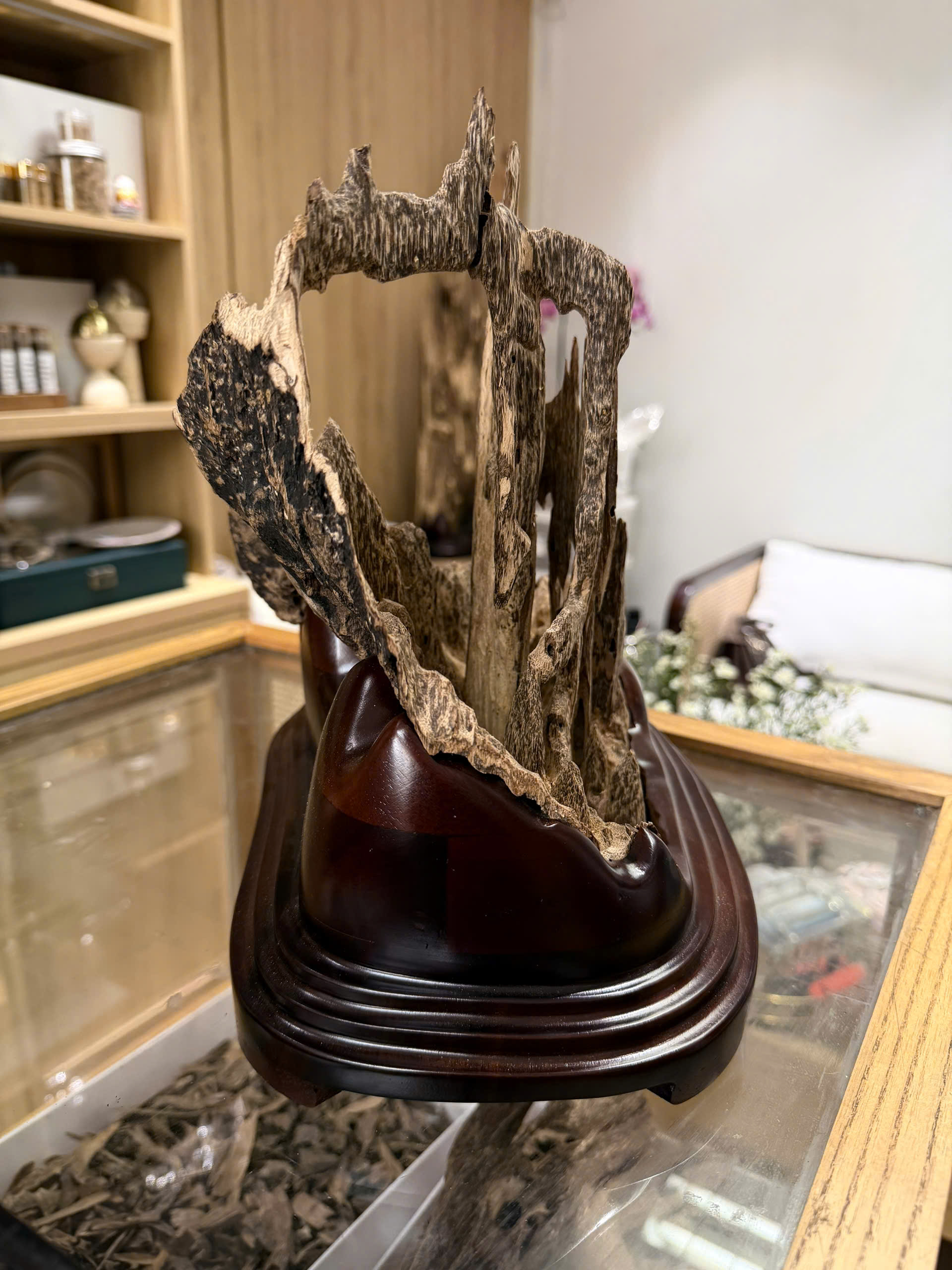 Natural Vietnamese Agarwood Sculpture – Mountain Forest Landscape | Vietnamese Oud Display