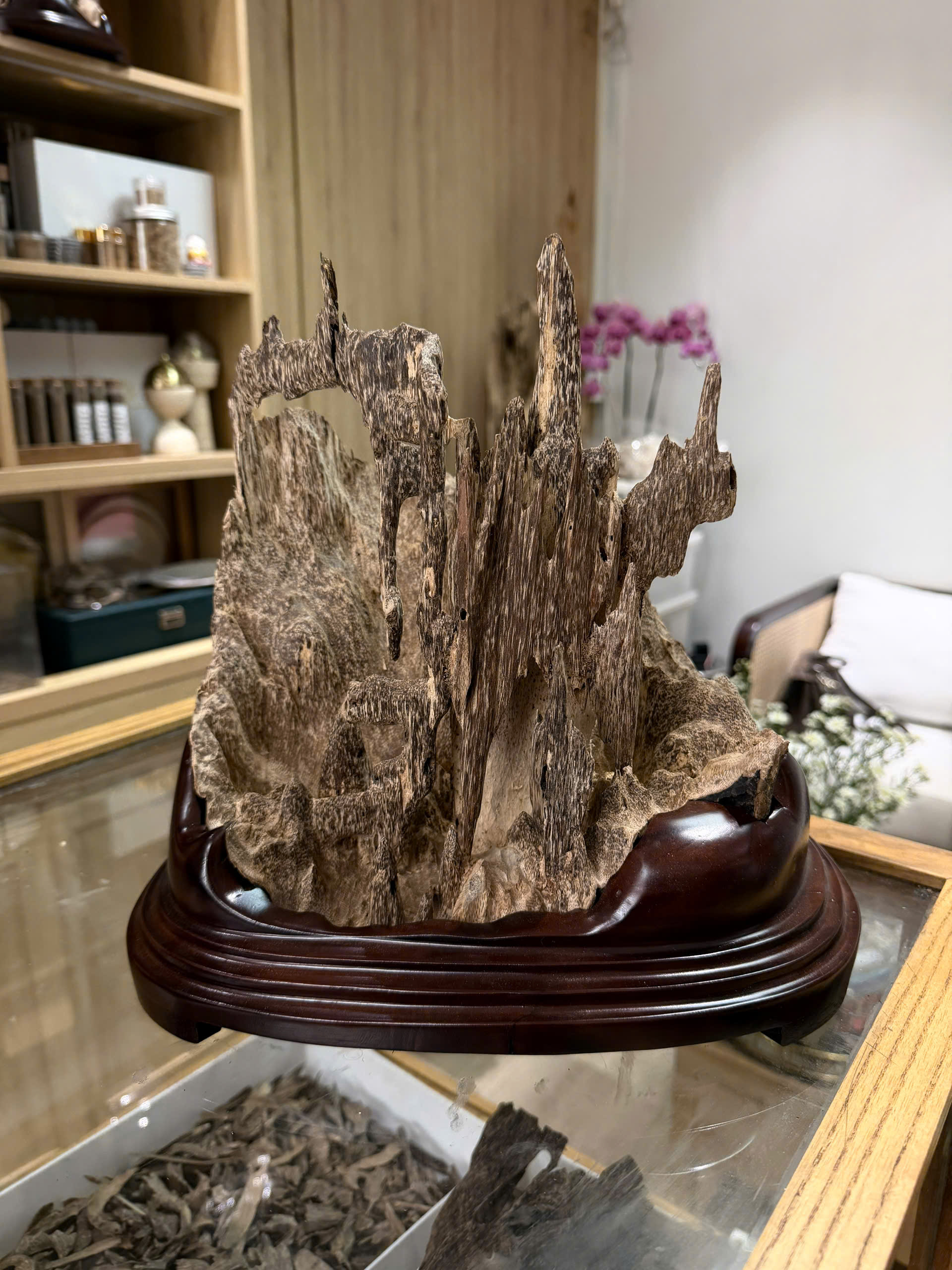 Natural Vietnamese Agarwood Sculpture – Mountain Forest Landscape | Vietnamese Oud Display