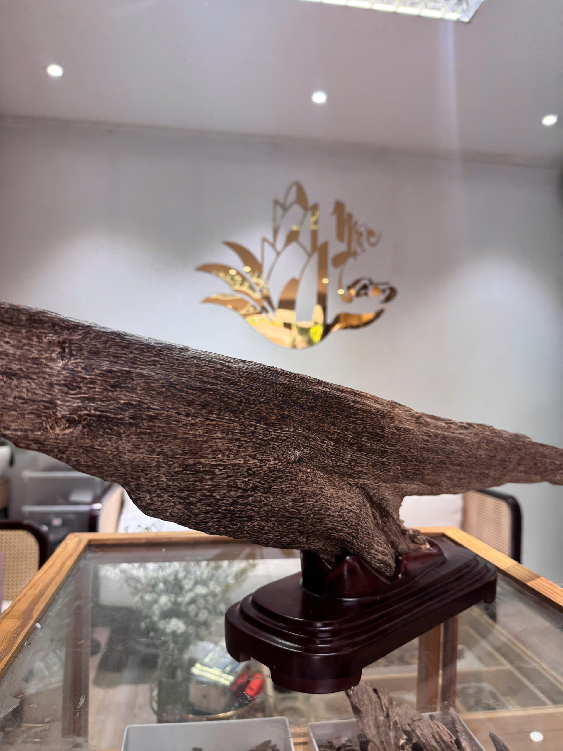 Natural Vietnamese Agarwood Sculpture – Whale Form | Vietnamese Oud Display