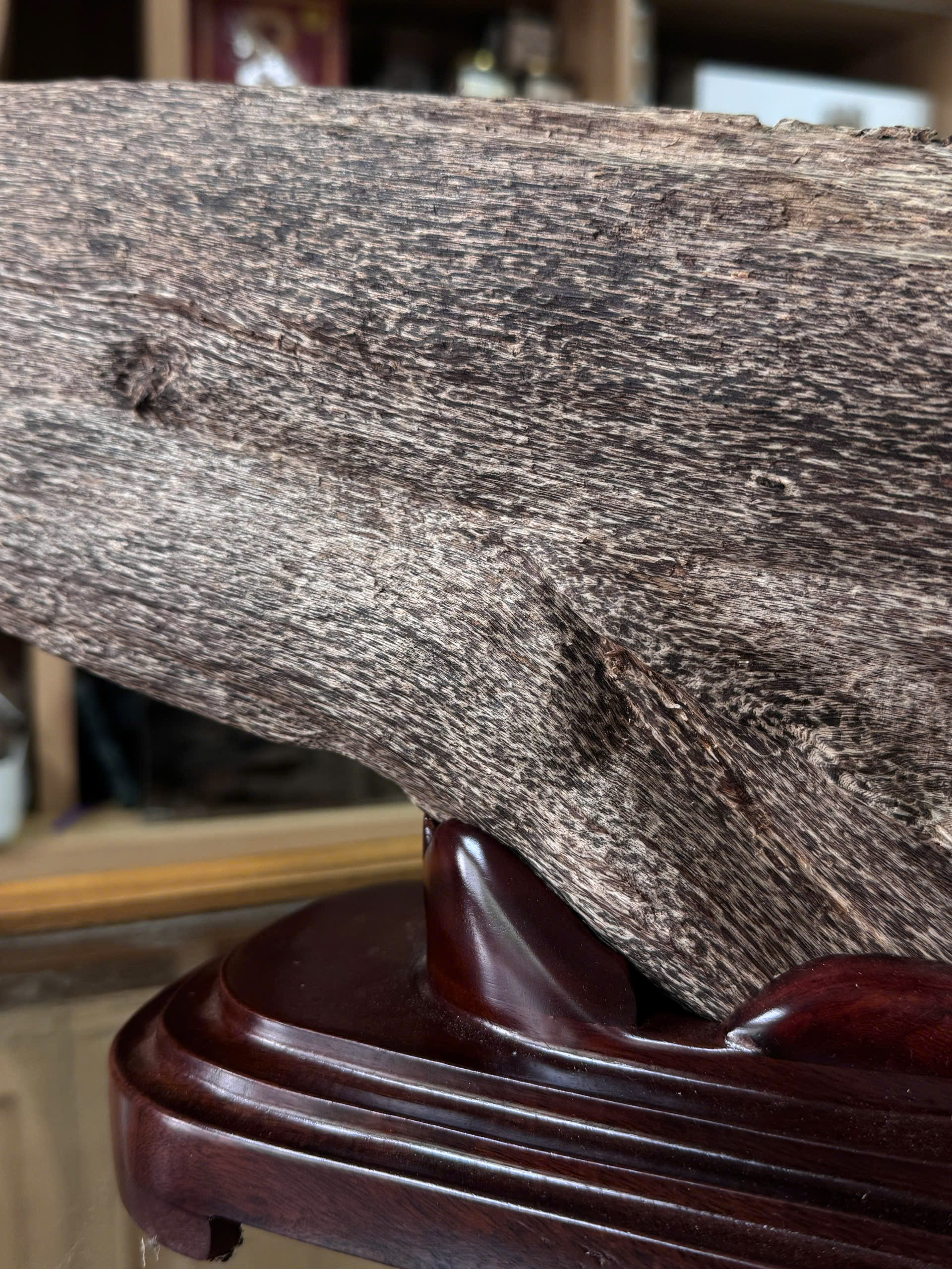 Natural Vietnamese Agarwood Sculpture – Whale Form | Vietnamese Oud Display