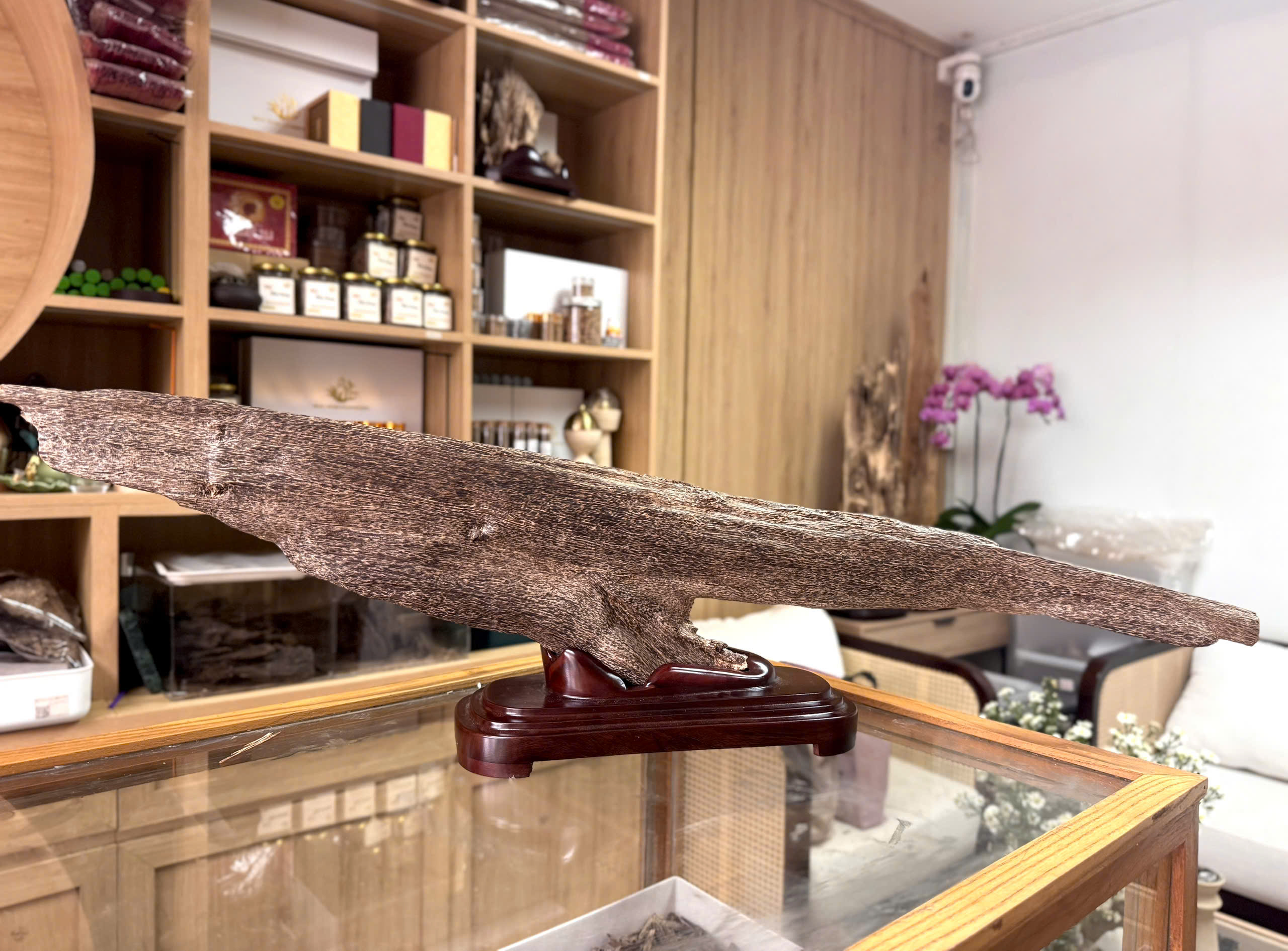 Natural Vietnamese Agarwood Sculpture – Whale Form | Vietnamese Oud Display