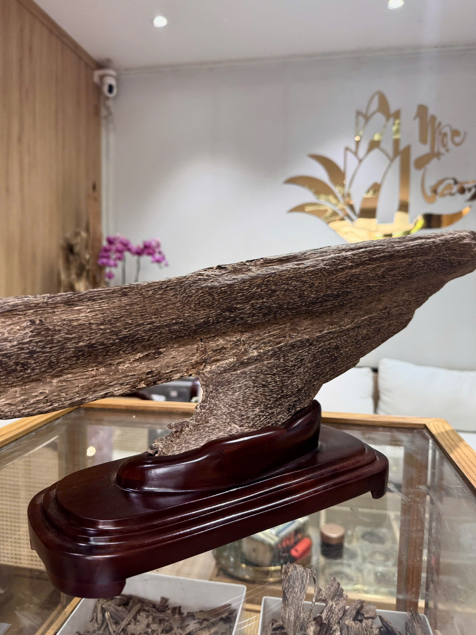 Natural Vietnamese Agarwood Sculpture – Whale Form | Vietnamese Oud Display