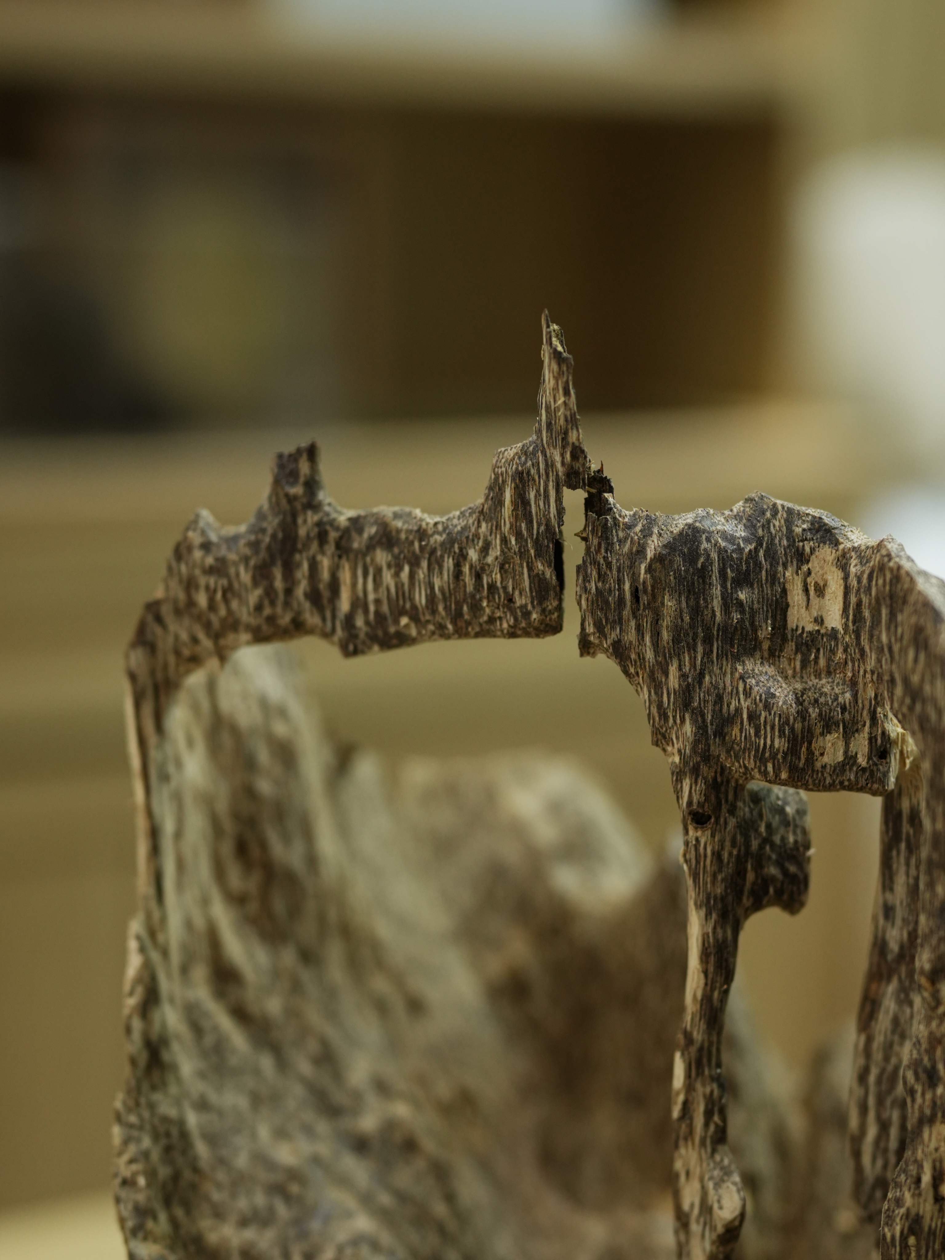 "SOLD OUT" Natural Vietnamese Agarwood Sculpture – Mountain Forest Landscape | Vietnamese Oud Display