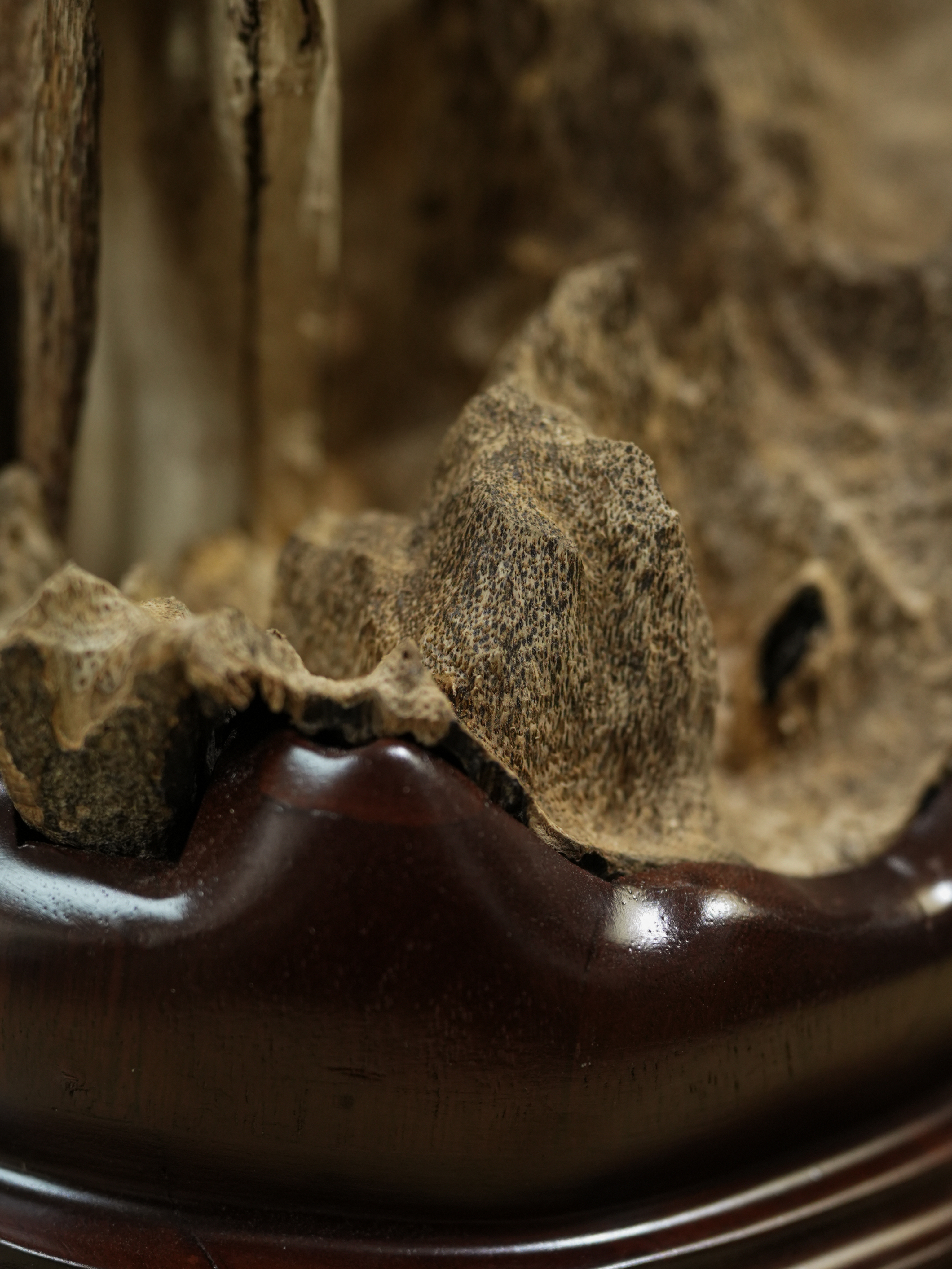 "SOLD OUT" Natural Vietnamese Agarwood Sculpture – Mountain Forest Landscape | Vietnamese Oud Display