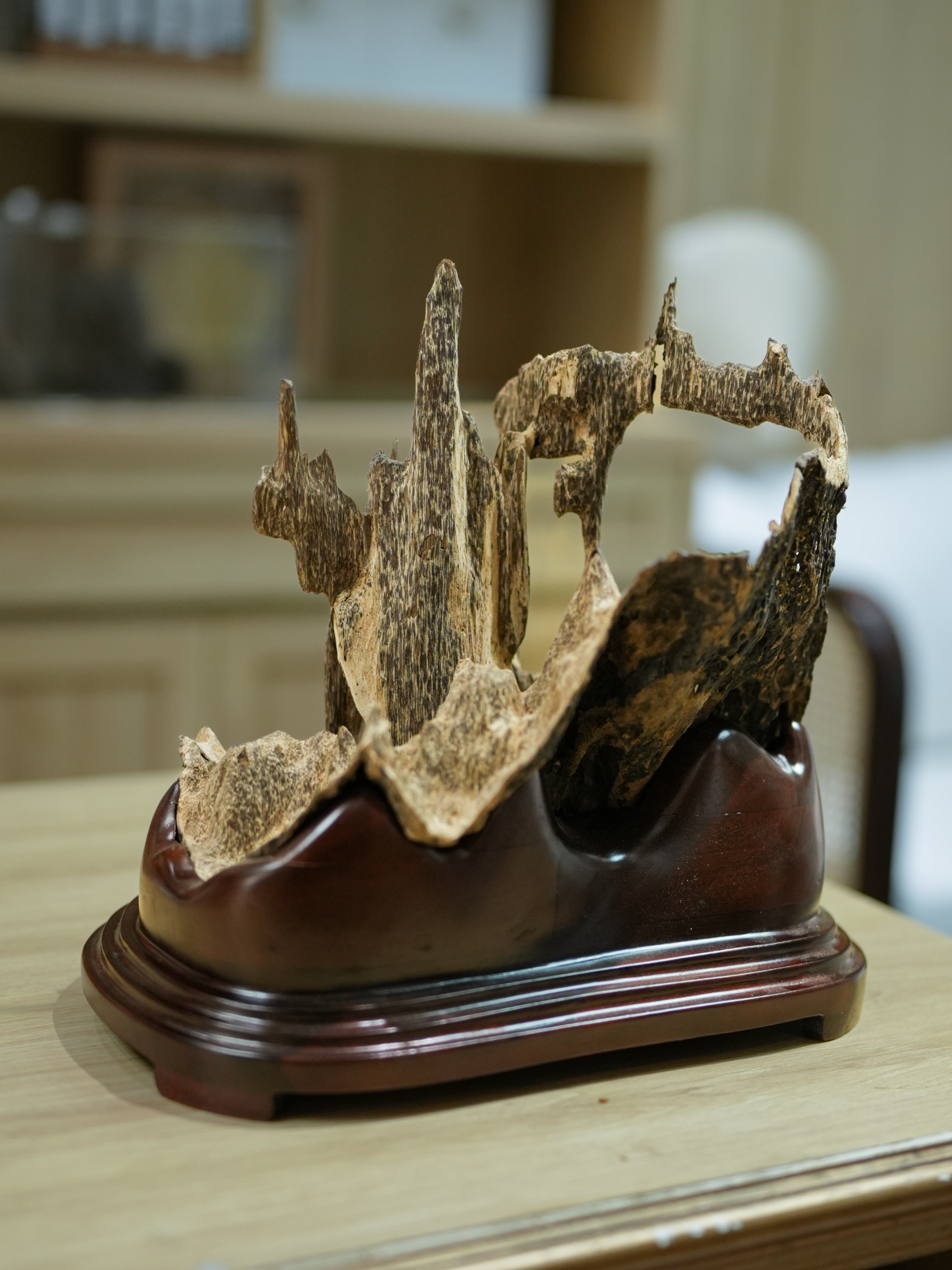 "SOLD OUT" Natural Vietnamese Agarwood Sculpture – Mountain Forest Landscape | Vietnamese Oud Display