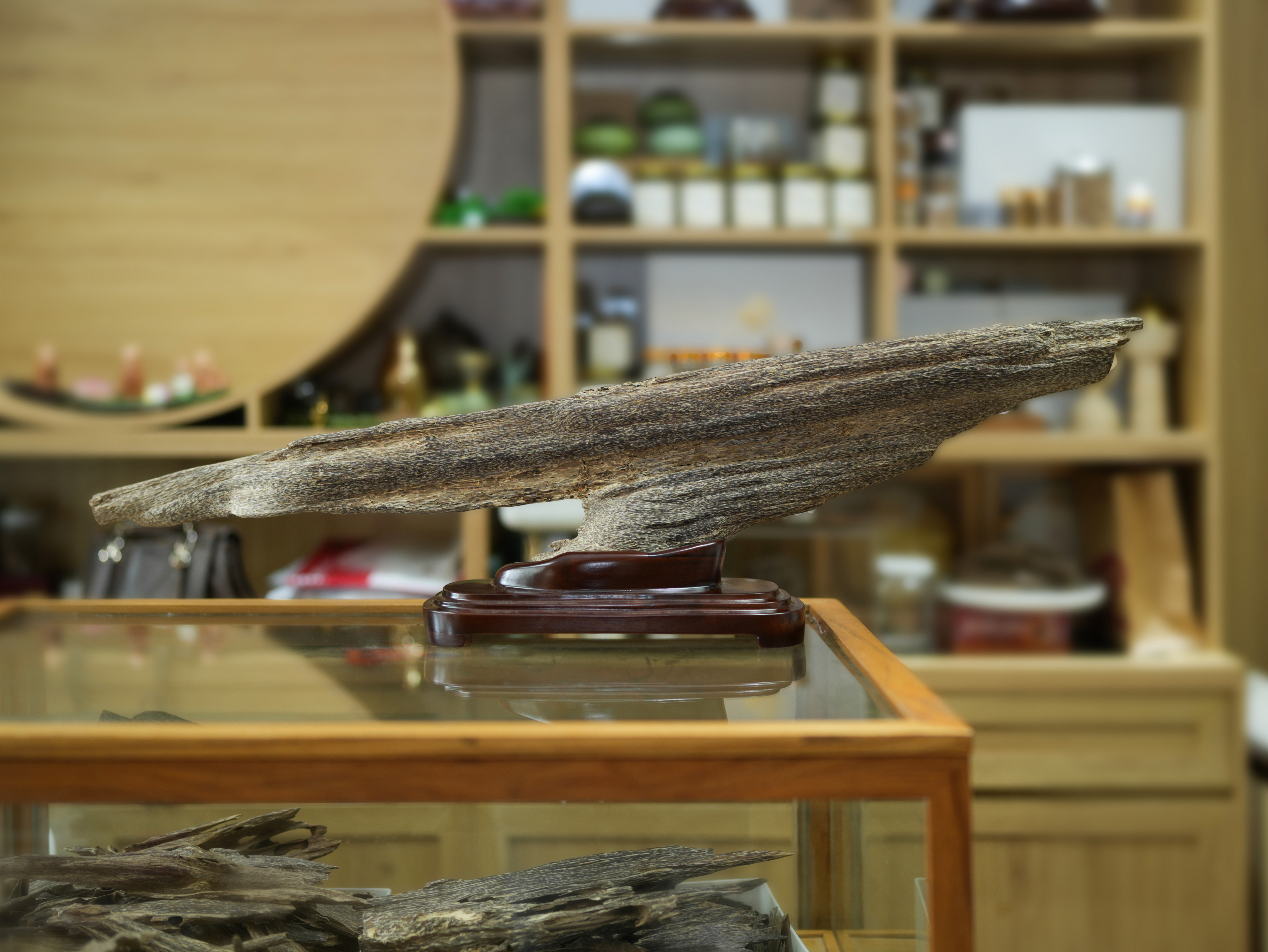 Natural Vietnamese Agarwood Sculpture – Whale Form | Vietnamese Oud Display