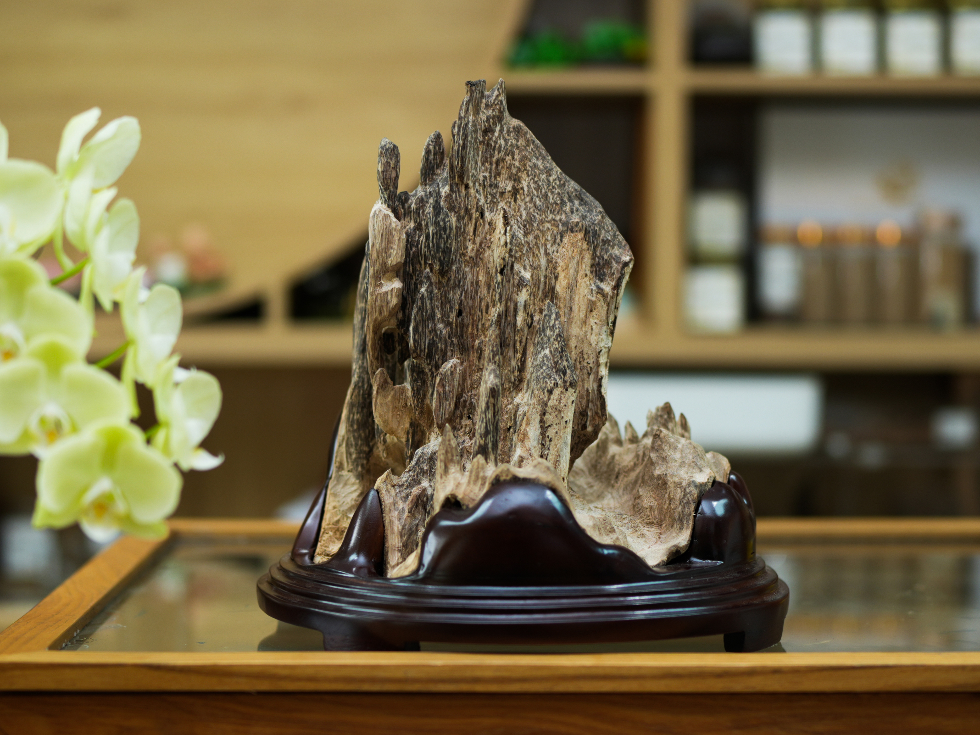Natural Vietnamese Agarwood Sculpture – Mountain Forest Landscape