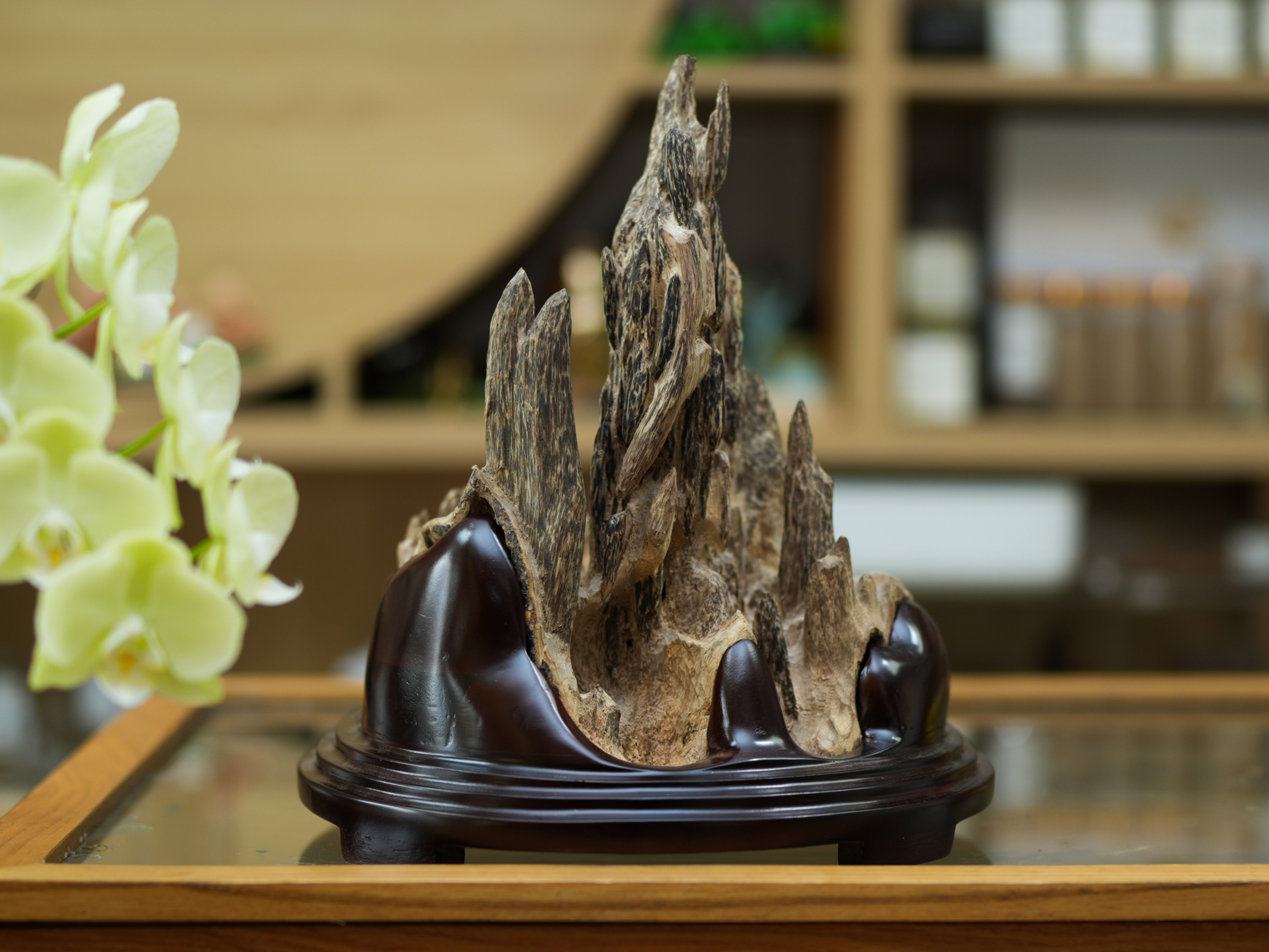 Natural Vietnamese Agarwood Sculpture – Mountain Forest Landscape