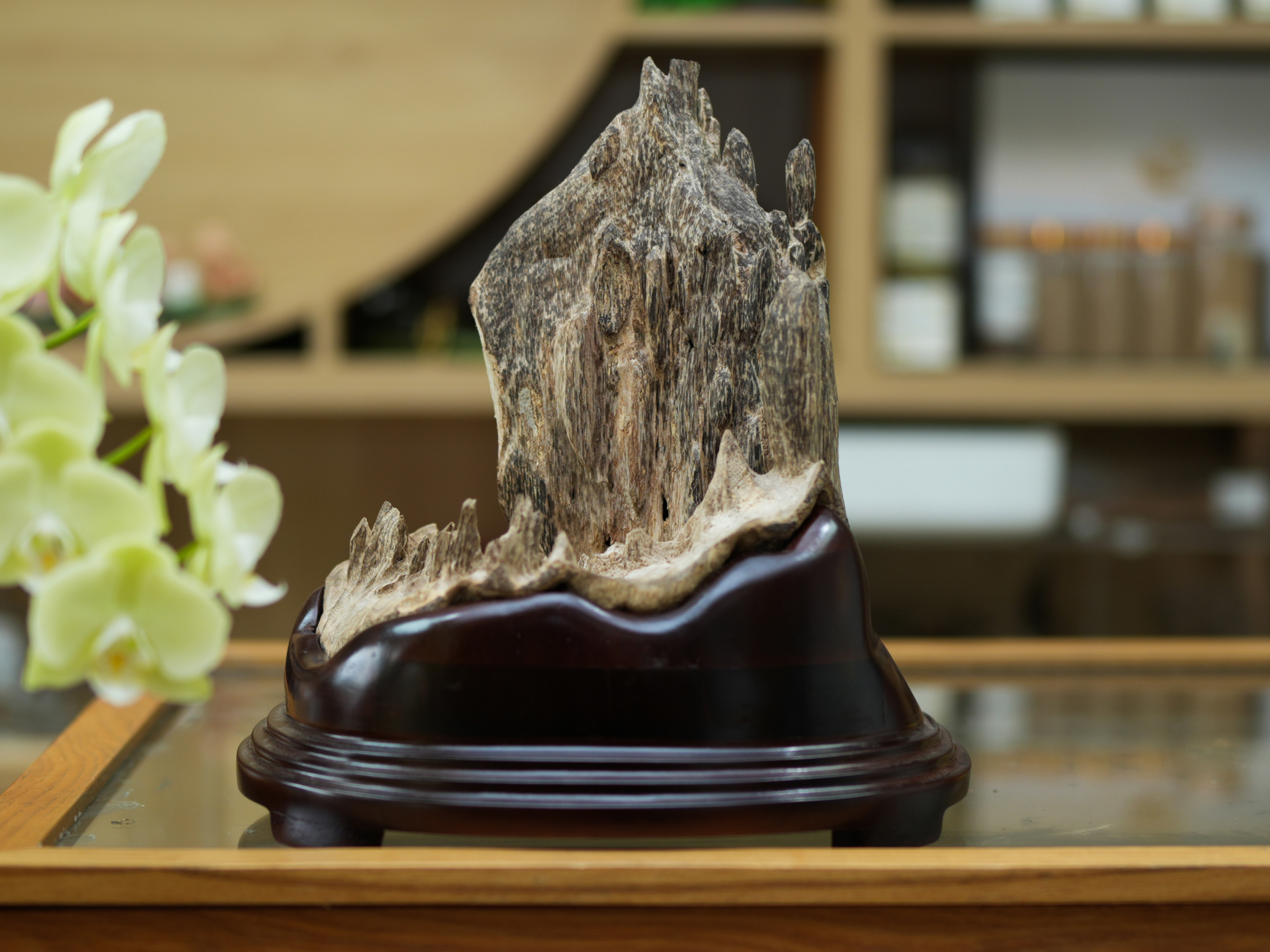 Natural Vietnamese Agarwood Sculpture – Mountain Forest Landscape