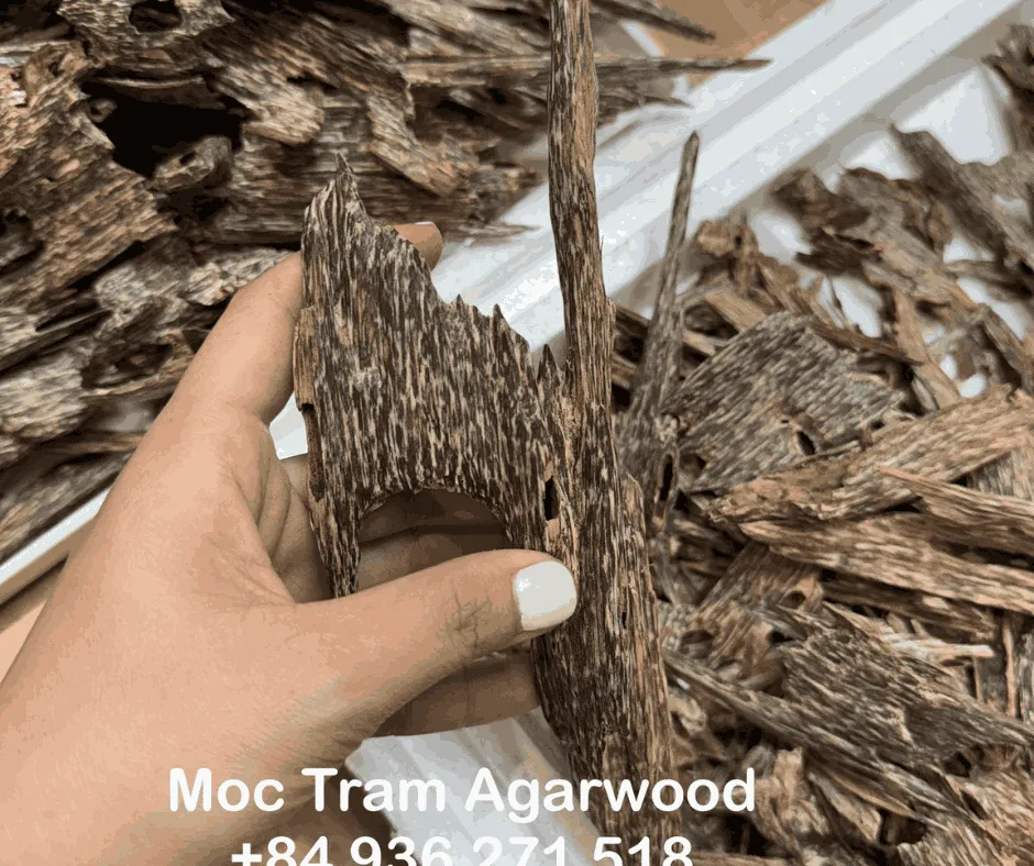 Premium Kien Kim Agarwood Chips – High-Grade Vietnamese Natural Agarwood (Top-Tier Oud Selection)