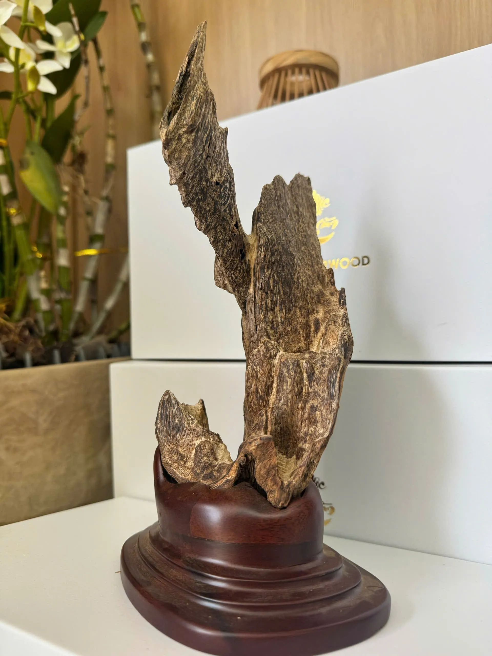 Natural Agarwood Sculpture – Premium Feng Shui Decor (26cm) | Vietnamese Oud Display