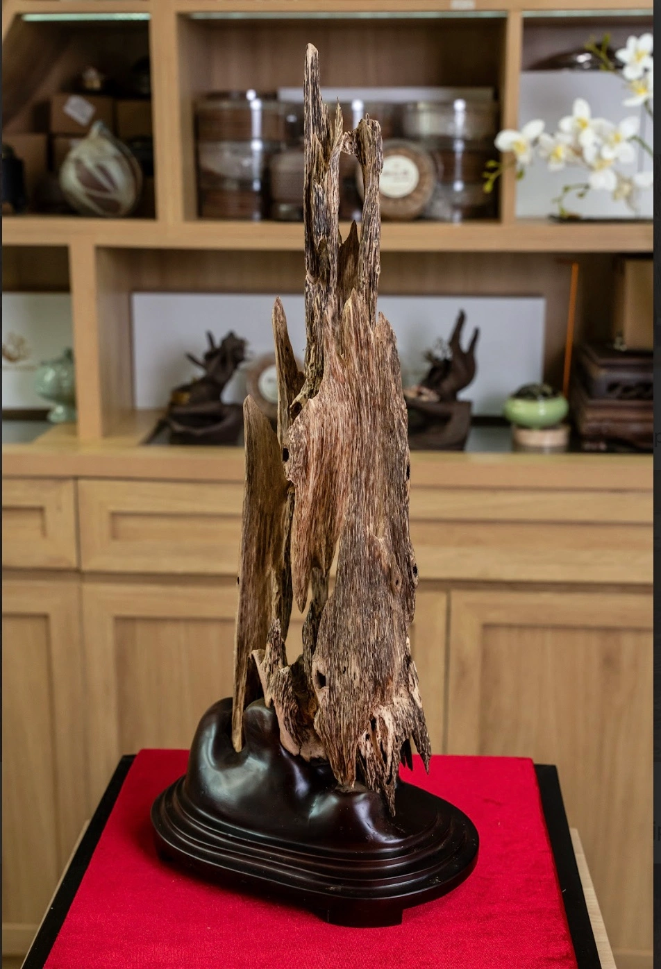 Natural Agarwood Home Decor – Peaceful Space &amp; Soft Aroma (56cm) | Vietnamese Oud