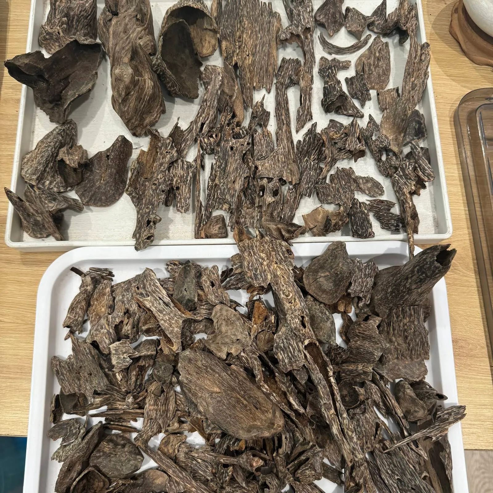 VIP Vietnamese Wild Agarwood – Premium Oud Chips Collection for Heating