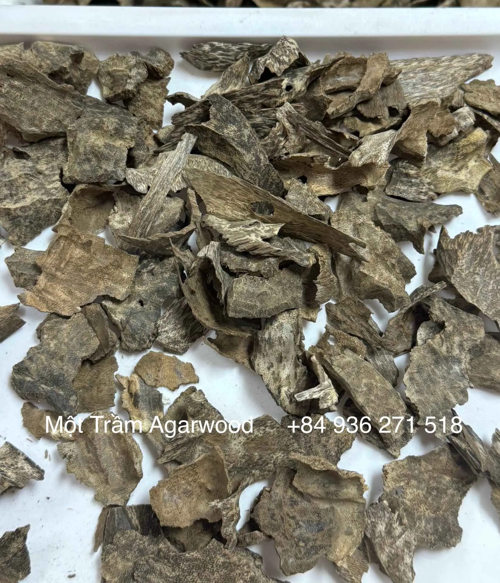 Premium Natural Agarwood – Drilled Oud Chips with High Resin&nbsp;