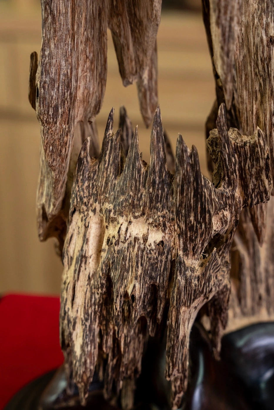 Natural Agarwood Home Decor – Peaceful Space &amp; Soft Aroma (56cm) | Vietnamese Oud