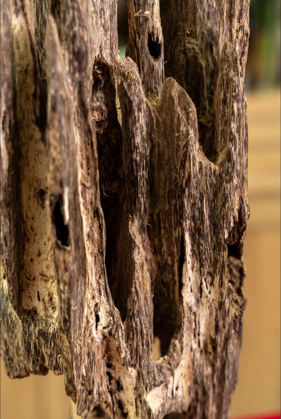 Mini Natural Agarwood Sculpture – Desk Display Oud – Wild Unique Form 42cm