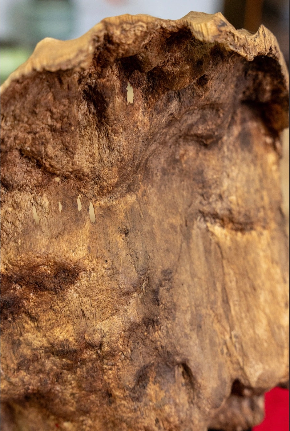 Natural Agarwood Block – Home Decoration &amp; Premium Natural Gift – Nhi - Maison Amore