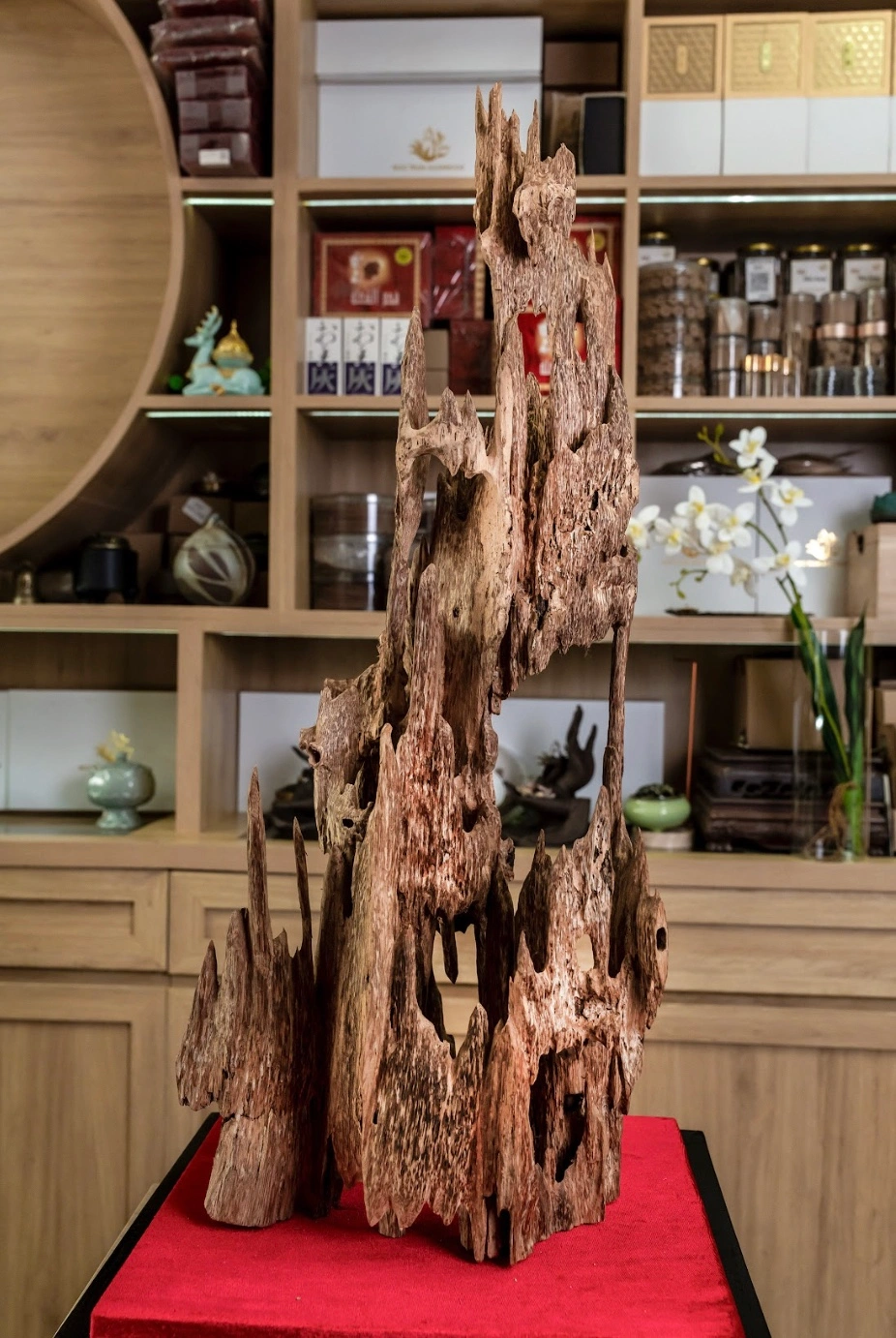Natural Vietnamese Agarwood Sculpture – Lightly Fragrant Wild Oud – Nhi - Maison Amore