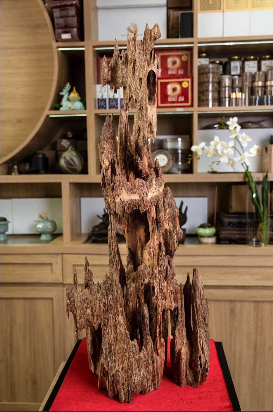 Natural Vietnamese Agarwood Sculpture – Lightly Fragrant Wild Oud – Nhi - Maison Amore