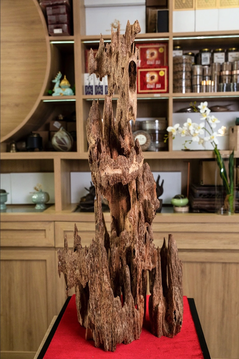 Natural Vietnamese Agarwood Sculpture – Lightly Fragrant Wild Oud – Nhi - Maison Amore