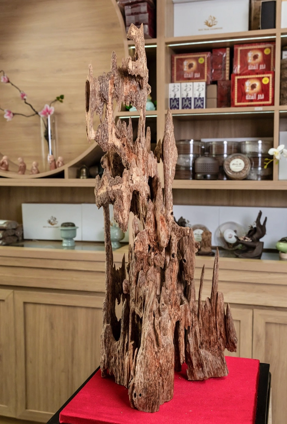 Natural Vietnamese Agarwood Sculpture – Lightly Fragrant Wild Oud – Nhi - Maison Amore