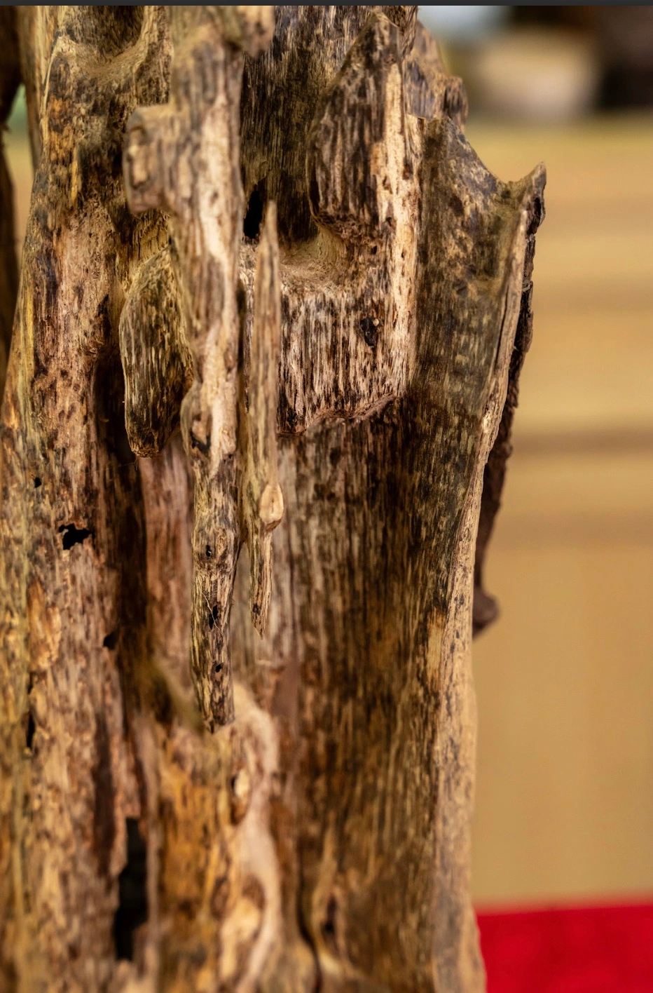 Feng Shui Agarwood Sculpture – 47cm Natural Home Decoration Oud