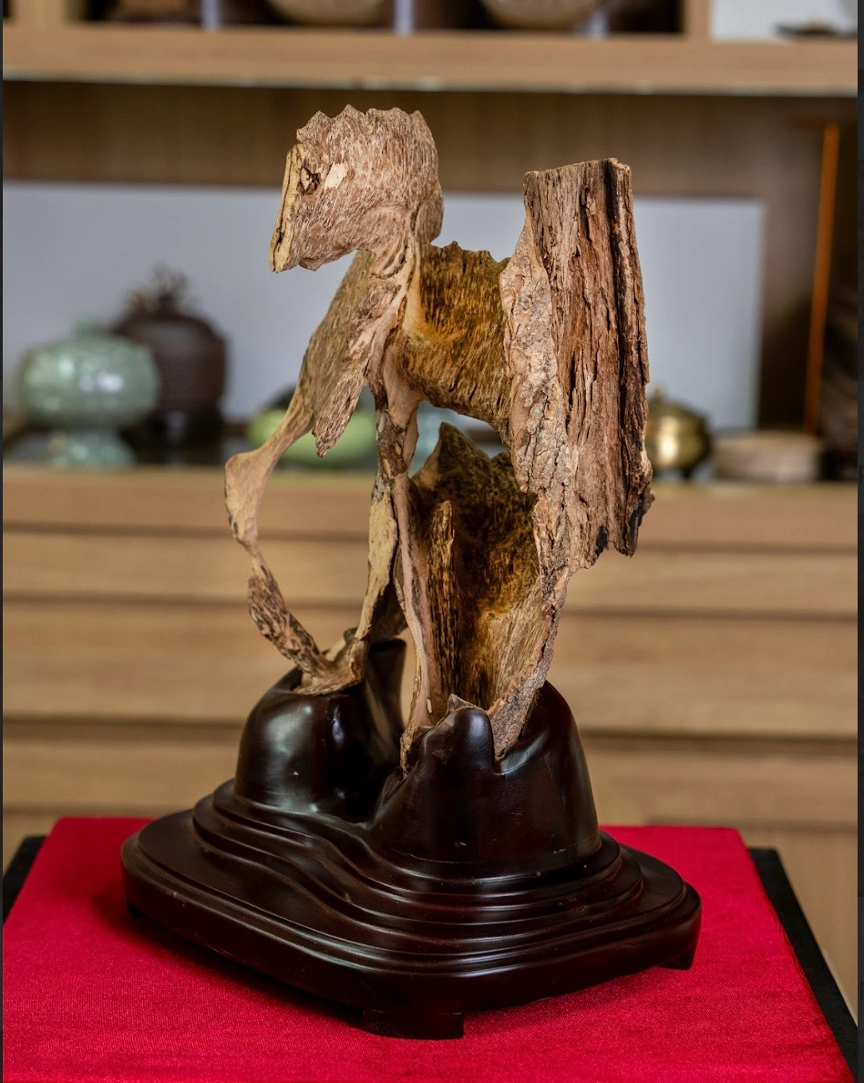 Nguyen Forest Agarwood Block – Nha Trang Wild Agarwood – Moc Tram Agarwood