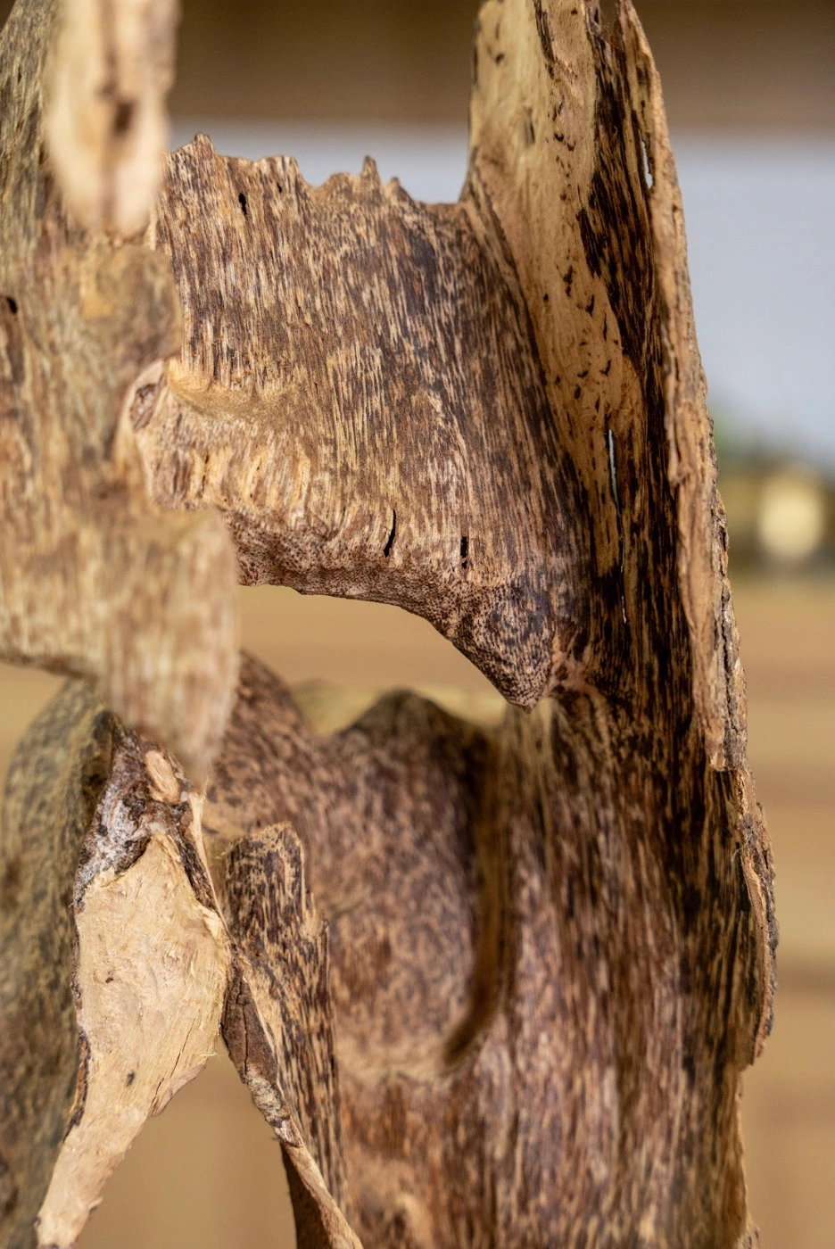 Nguyen Forest Agarwood Block – Nha Trang Wild Agarwood – Moc Tram Agarwood