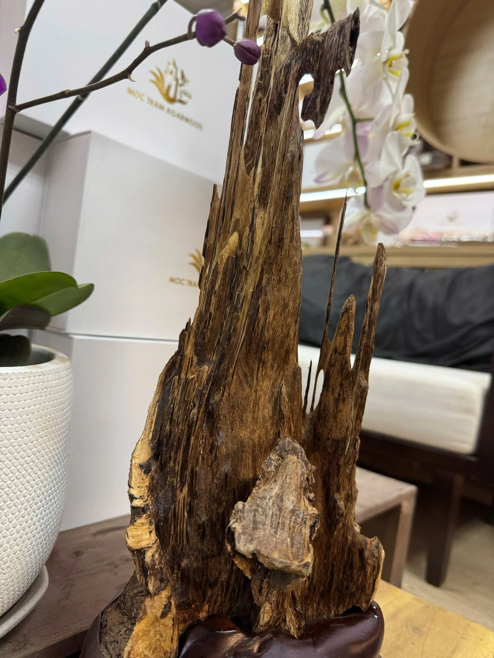 Premium Vietnamese Agarwood Sculpture – 54cm Natural Decorative Oud
