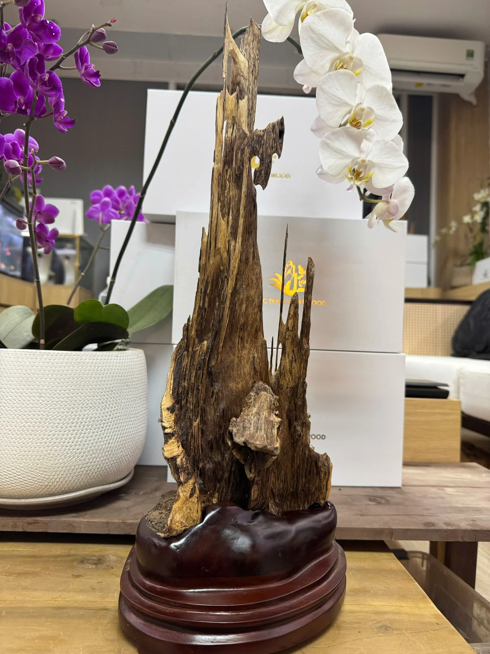 Premium Vietnamese Agarwood Sculpture – 54cm Natural Decorative Oud