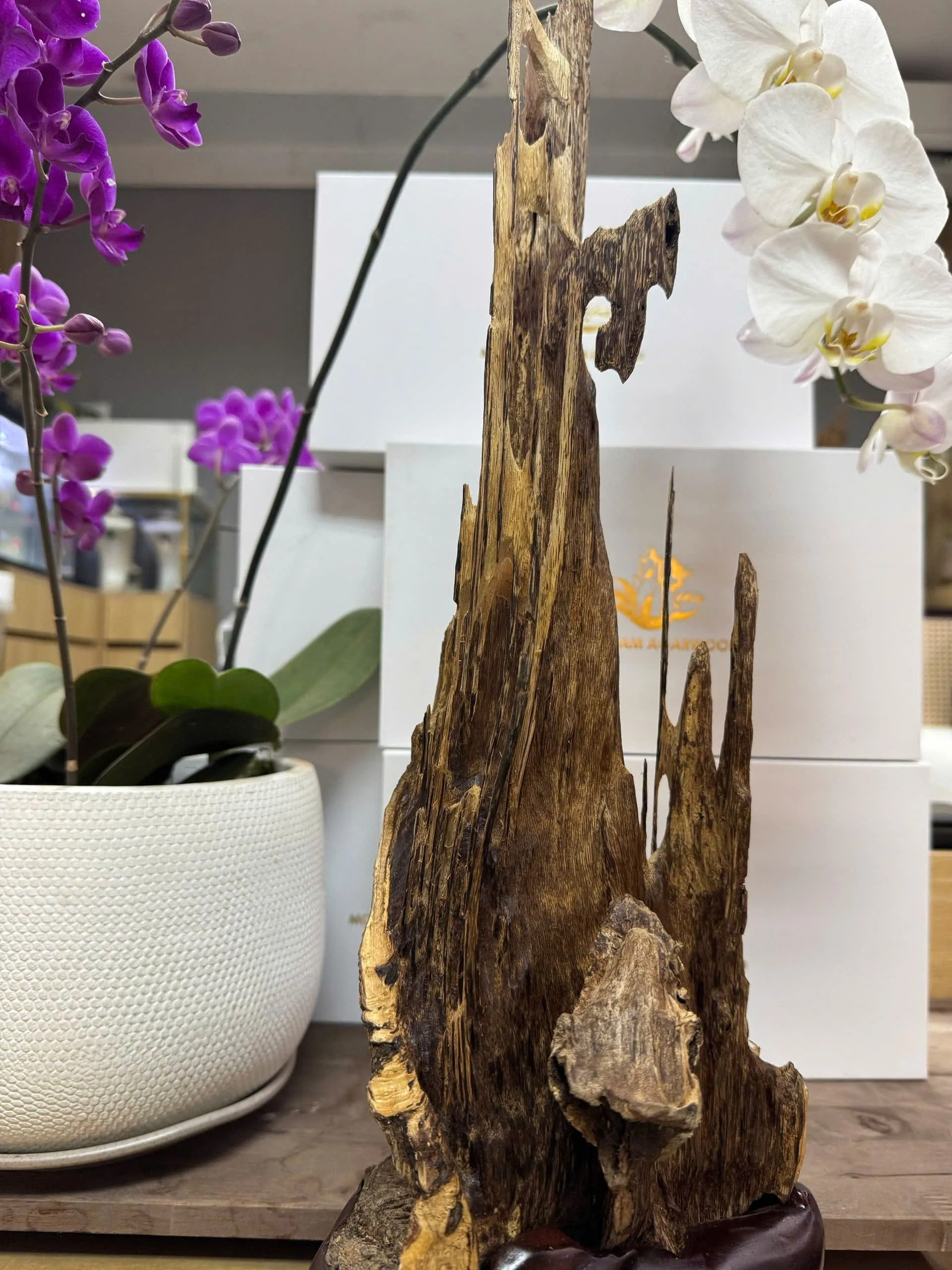 Premium Vietnamese Agarwood Sculpture – 54cm Natural Decorative Oud