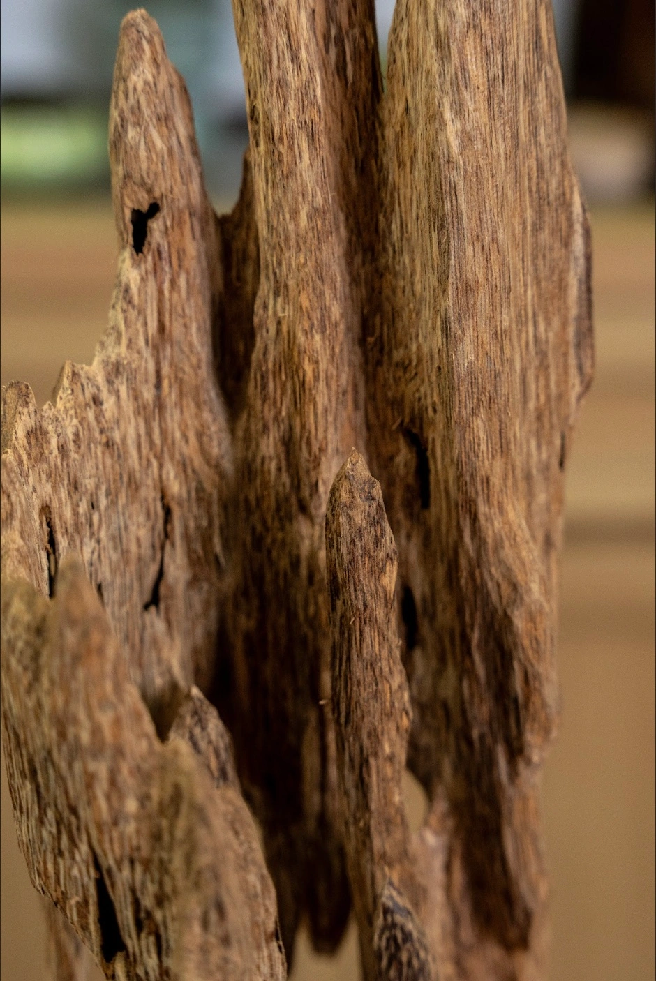 Vietnamese Natural Agarwood Sculpture – 15cm Decorative Oud Display