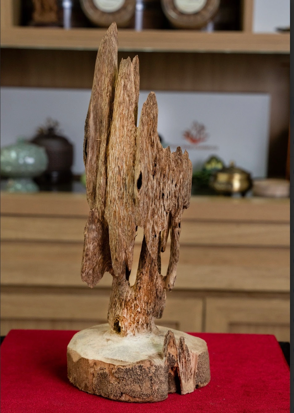 Vietnamese Natural Agarwood Sculpture – 15cm Decorative Oud Display