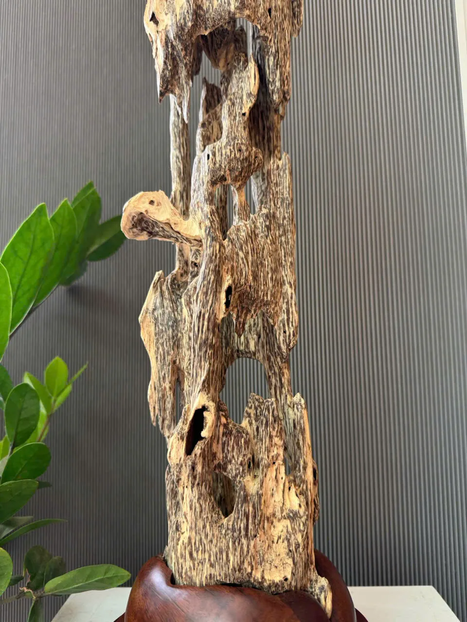 Natural Agarwood Sculpture – 86cm Premium Oud Decorative Block – Maison Amore