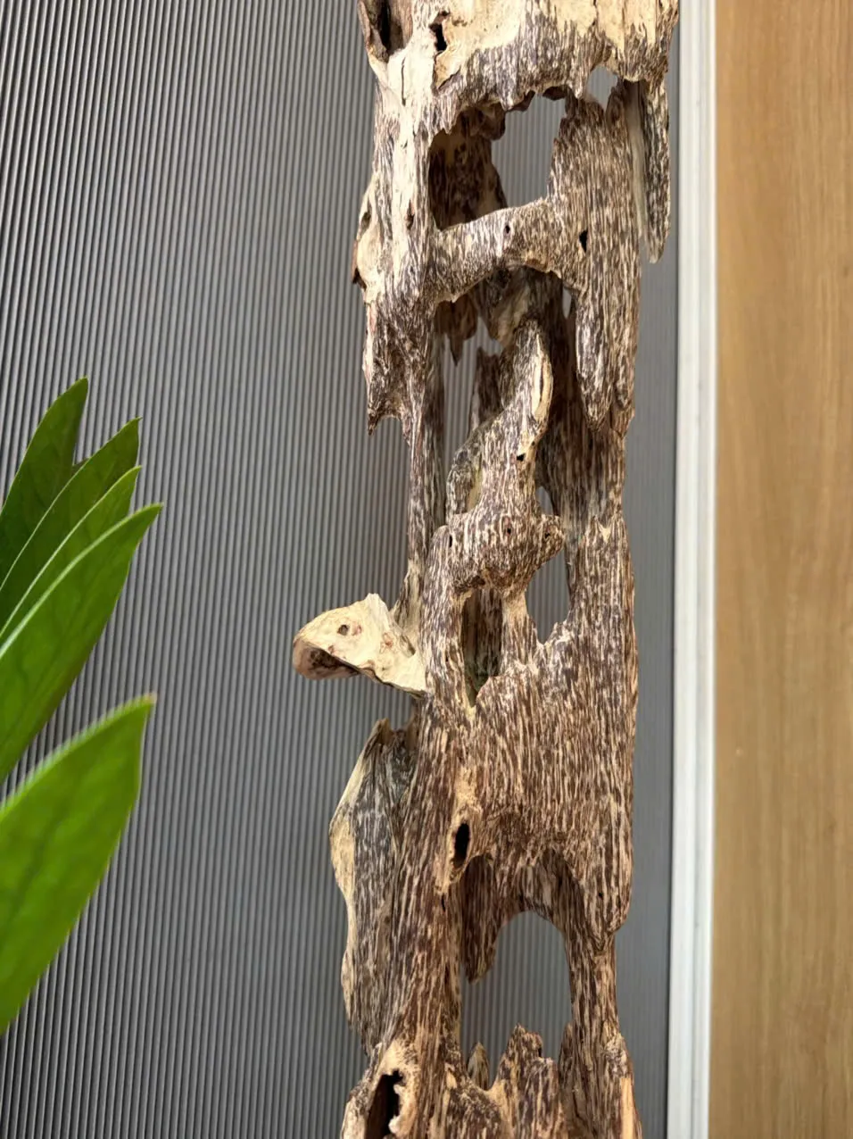 Natural Agarwood Sculpture – 86cm Premium Oud Decorative Block – Maison Amore