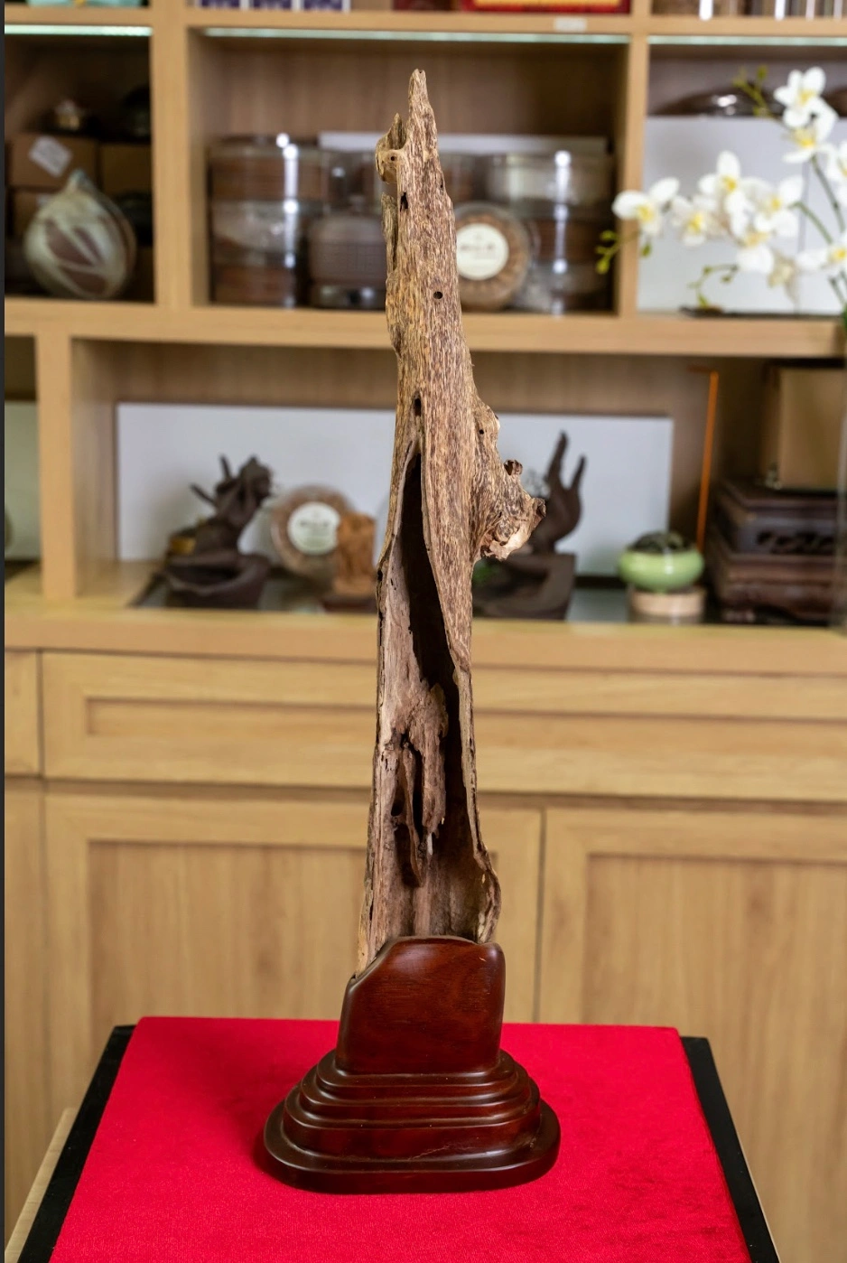Khanh Hoa Wild Agarwood Sculpture – Natural Oud Decorative Block