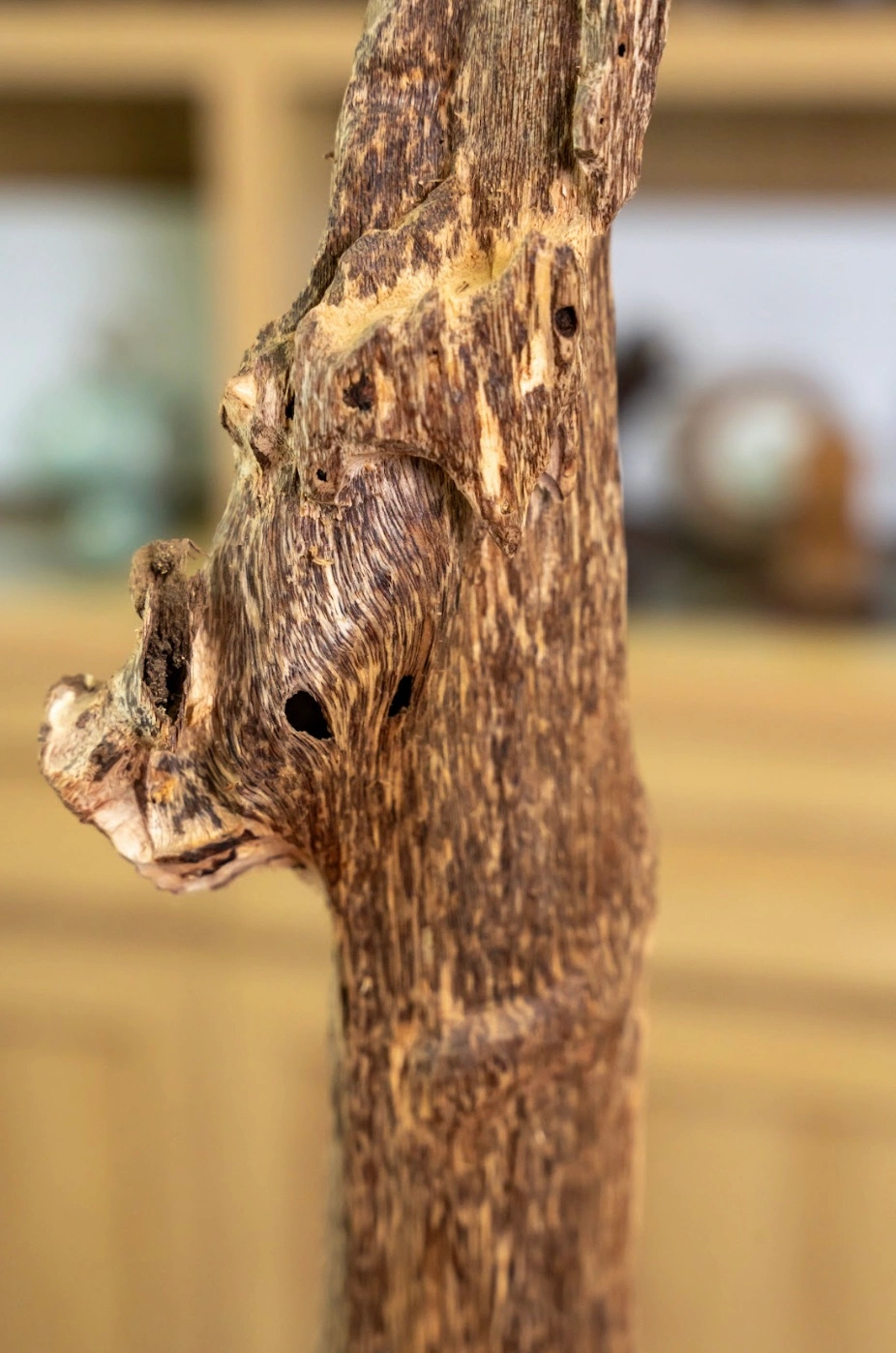 Khanh Hoa Wild Agarwood Sculpture – Natural Oud Decorative Block