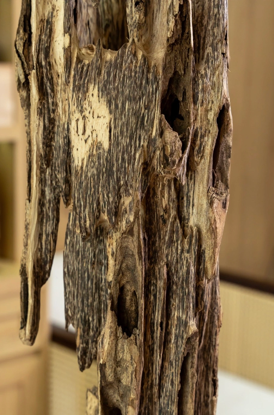 Natural Agarwood Sculpture – Ant Agarwood Solid Block 86cm – Maison Amore
