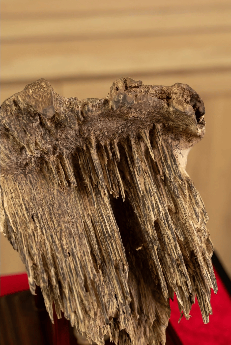 Natural Agarwood Sculpture – Nha Trang Wild Agarwood – Nhi Maison Amore