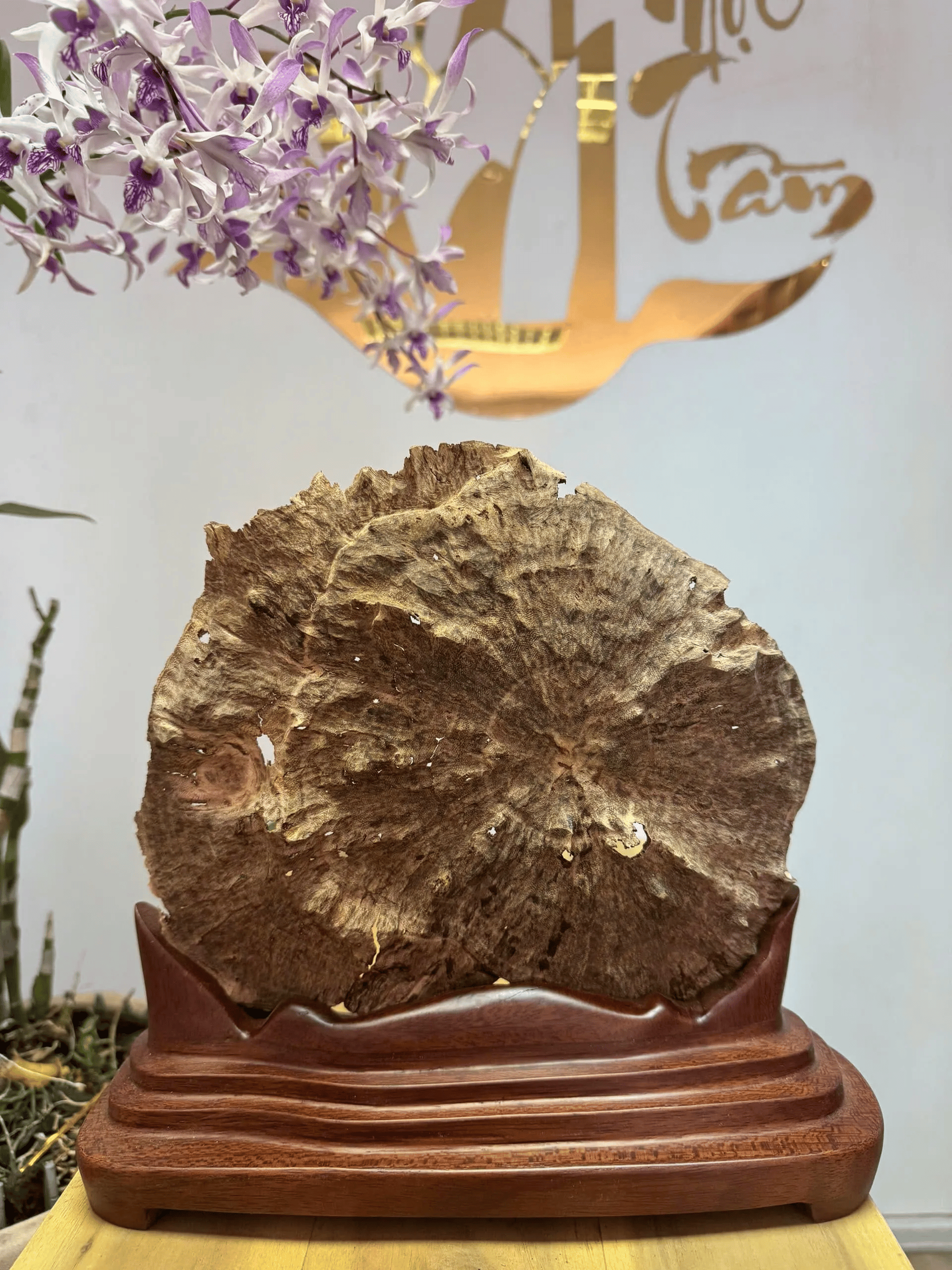 “Moonlight” Agarwood Sculpture – Natural Vietnamese Oud Art Piece