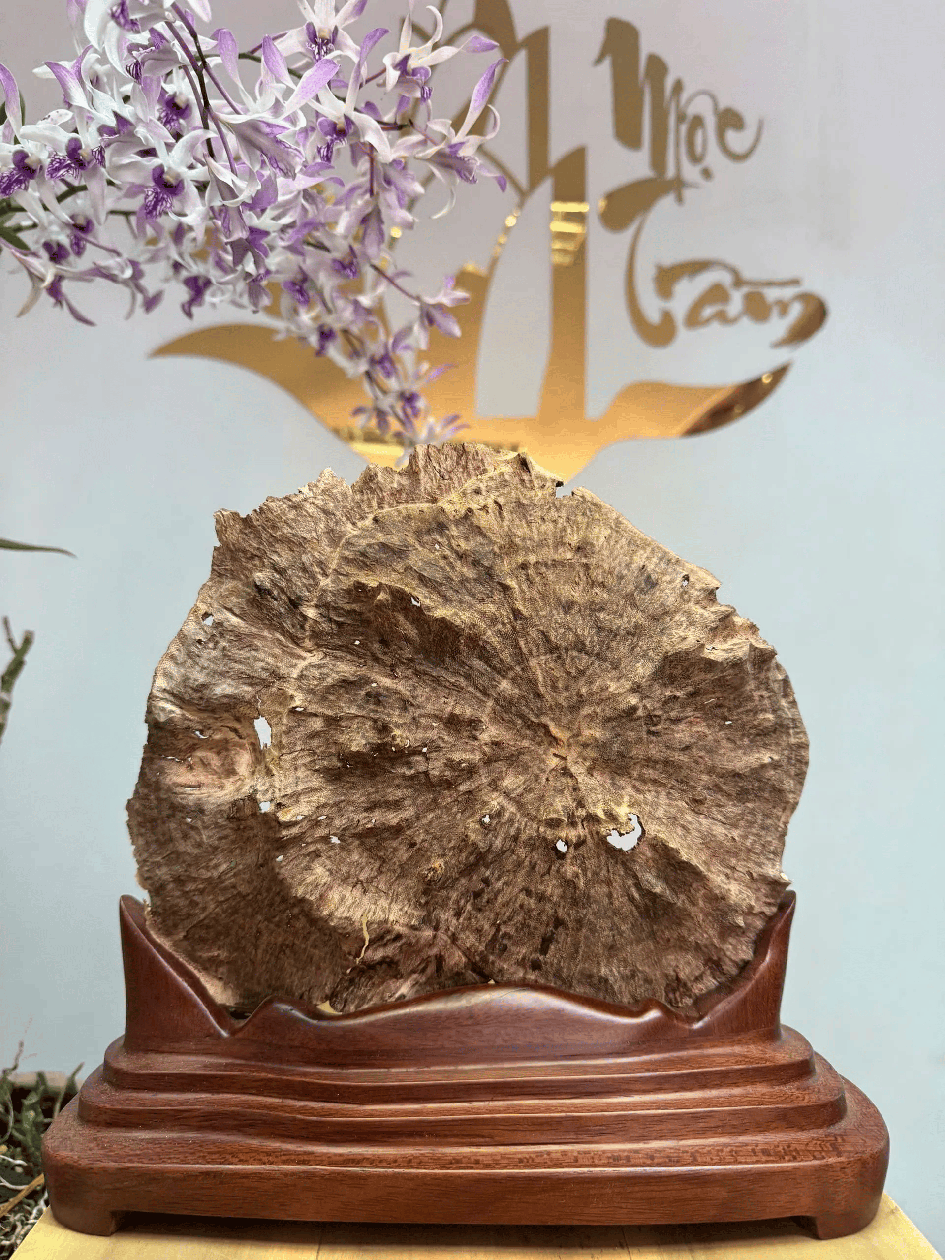 “Moonlight” Agarwood Sculpture – Natural Vietnamese Oud Art Piece