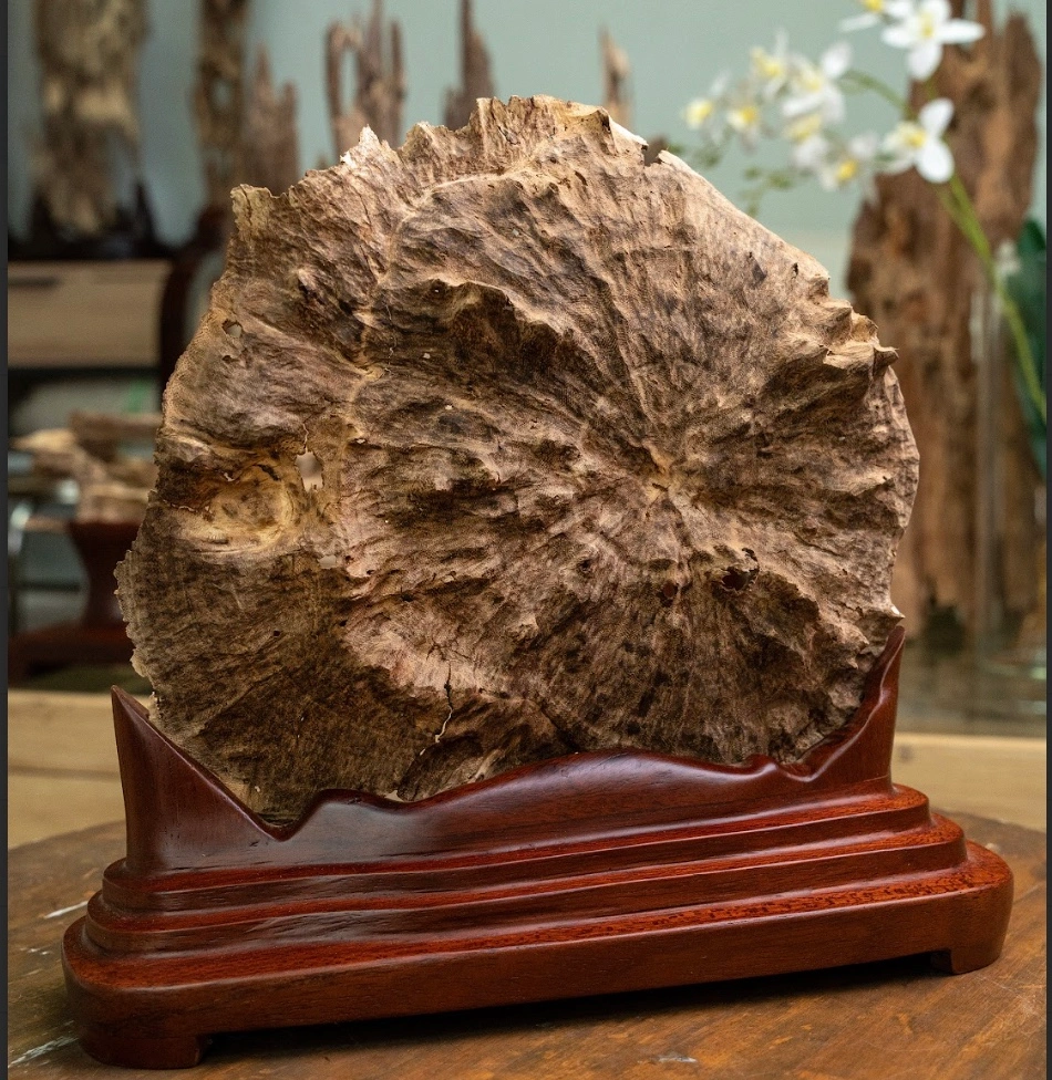 “Moonlight” Agarwood Sculpture – Natural Vietnamese Oud Art Piece
