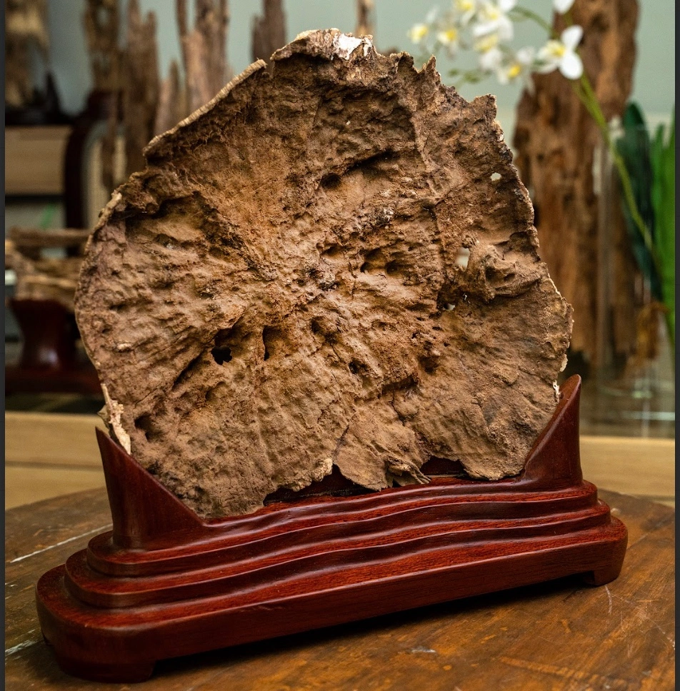 “Moonlight” Agarwood Sculpture – Natural Vietnamese Oud Art Piece