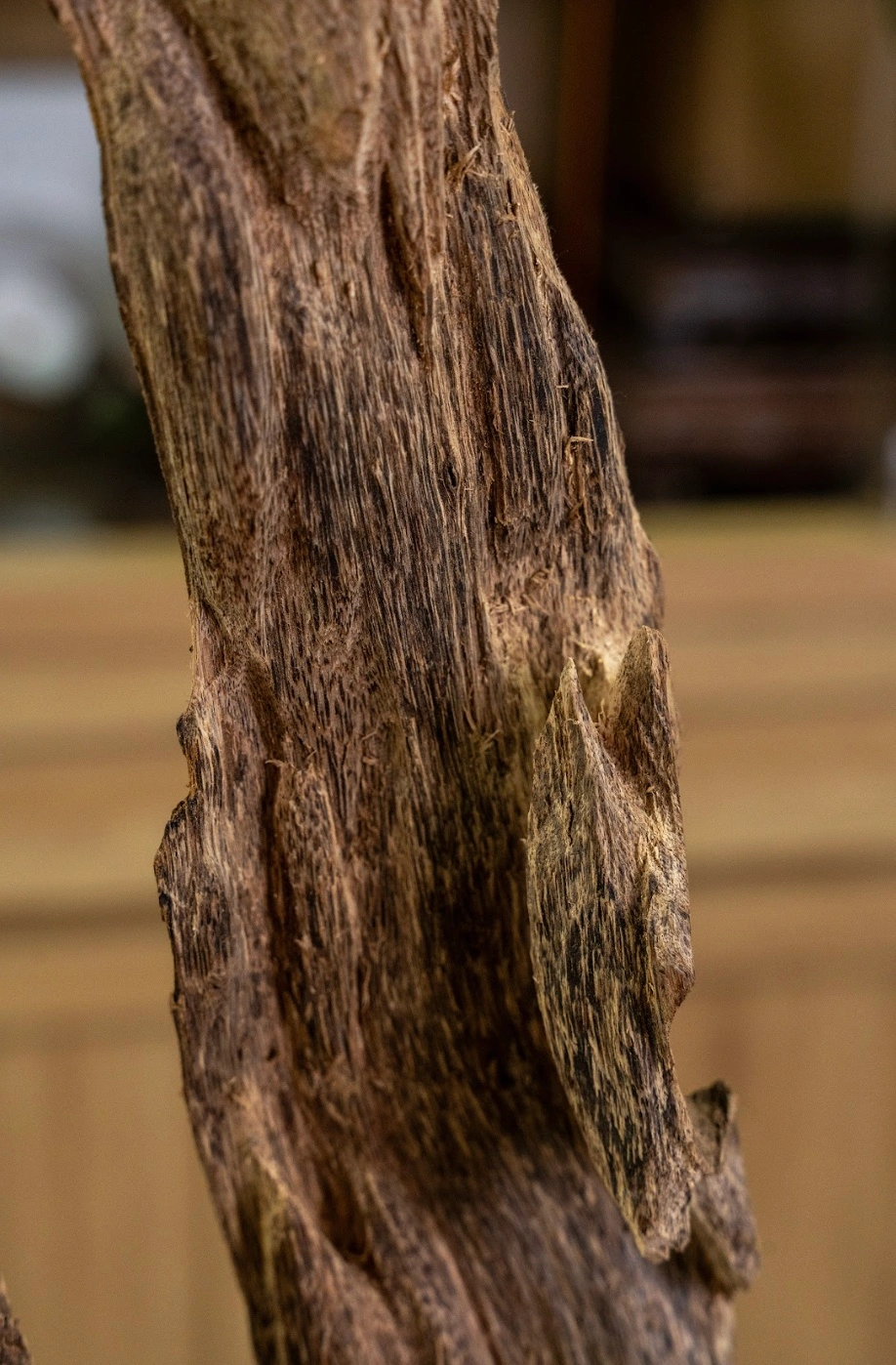 Natural Vietnamese Agarwood Sculpture – Solid Unique Forest Oud – 53cm