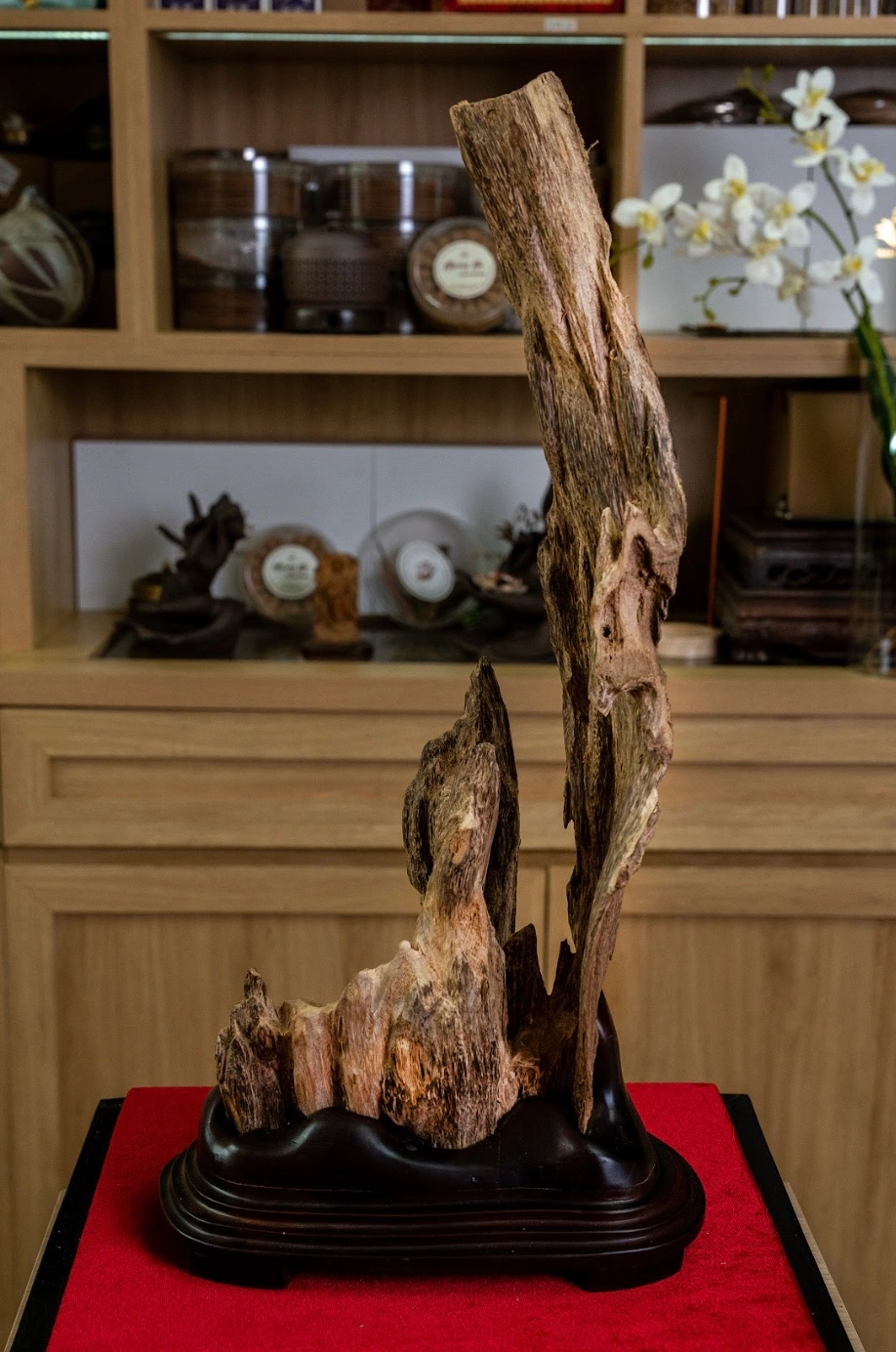 Natural Vietnamese Agarwood Sculpture – Solid Unique Forest Oud – 53cm
