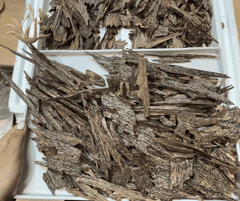 Premium Kien Kim Agarwood Chips – High-Grade Vietnamese Natural Agarwood (Top-Tier Oud Selection)