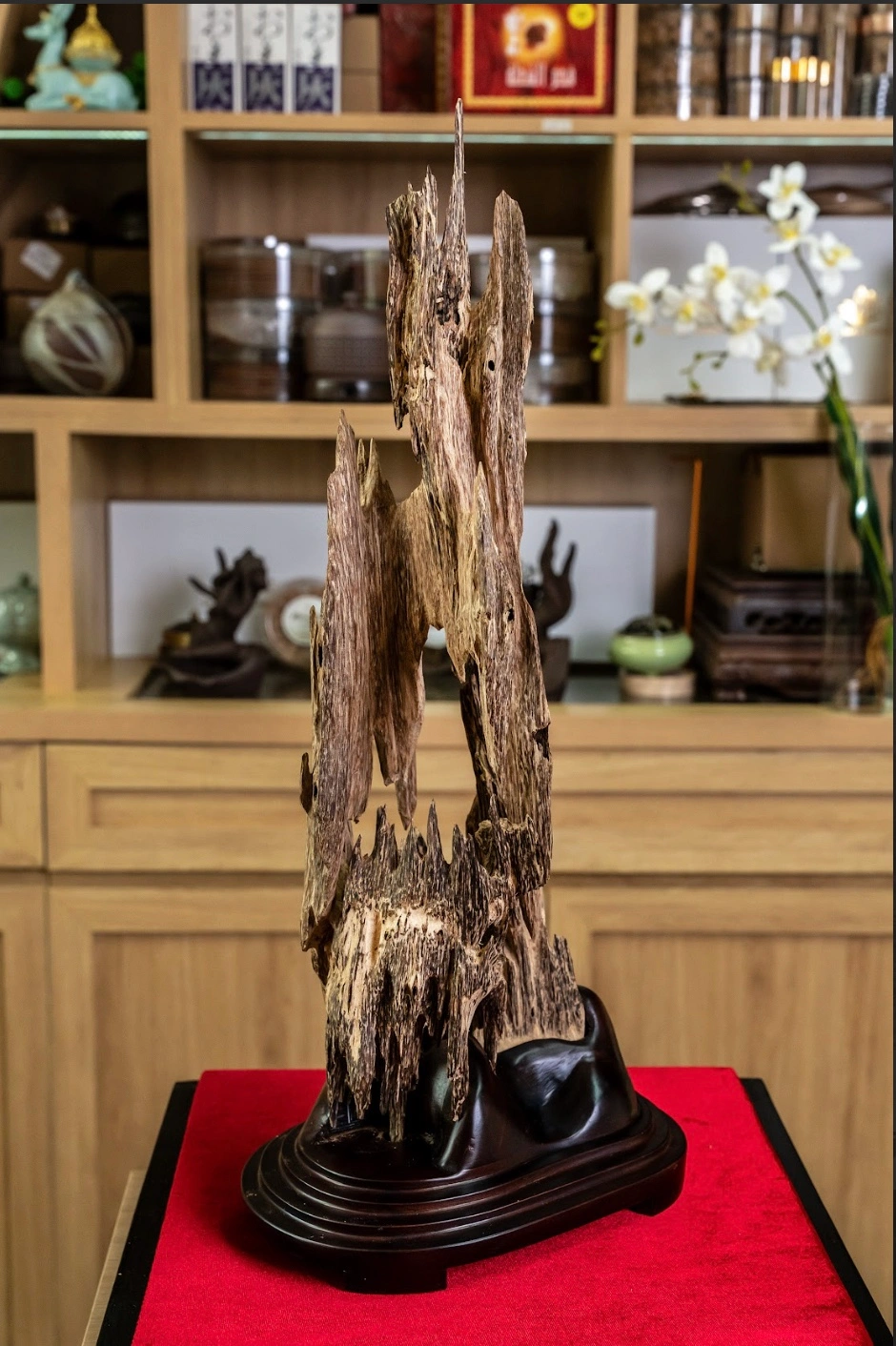 Natural Agarwood Home Decor – Peaceful Space &amp; Soft Aroma (56cm) | Vietnamese Oud