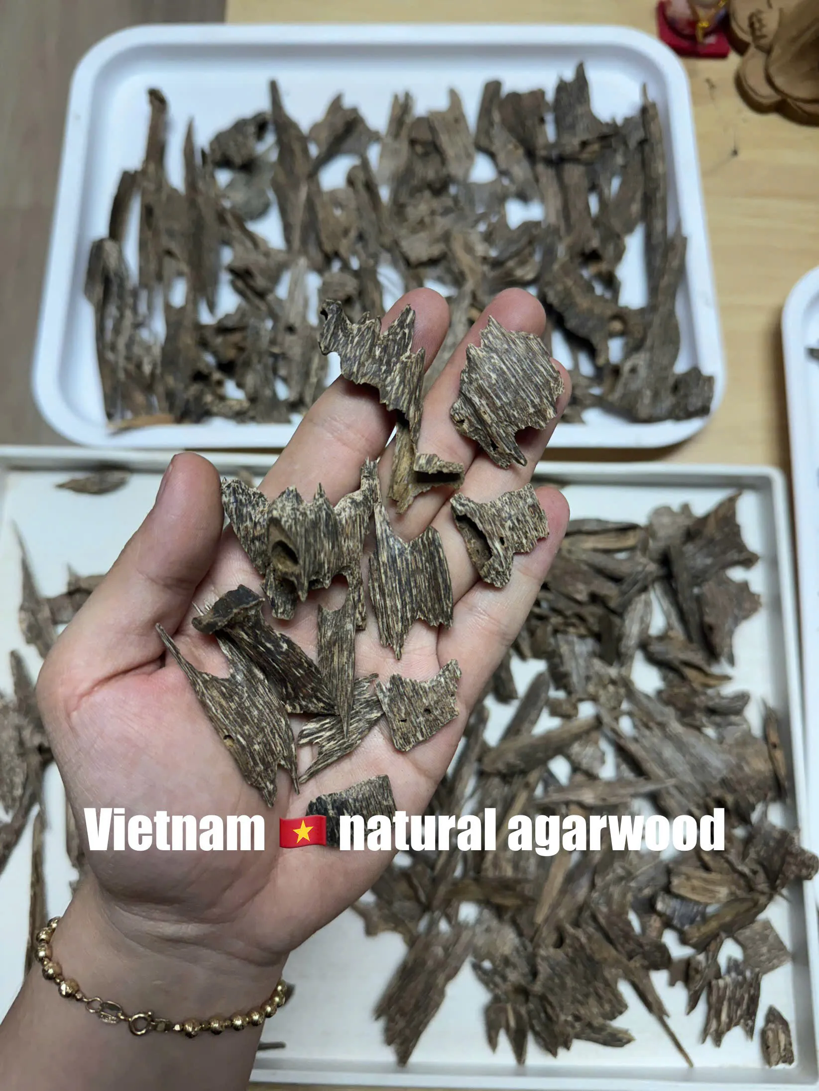 VIP Ant Oud – Natural Oud Chips for Burning &amp; Enjoyment