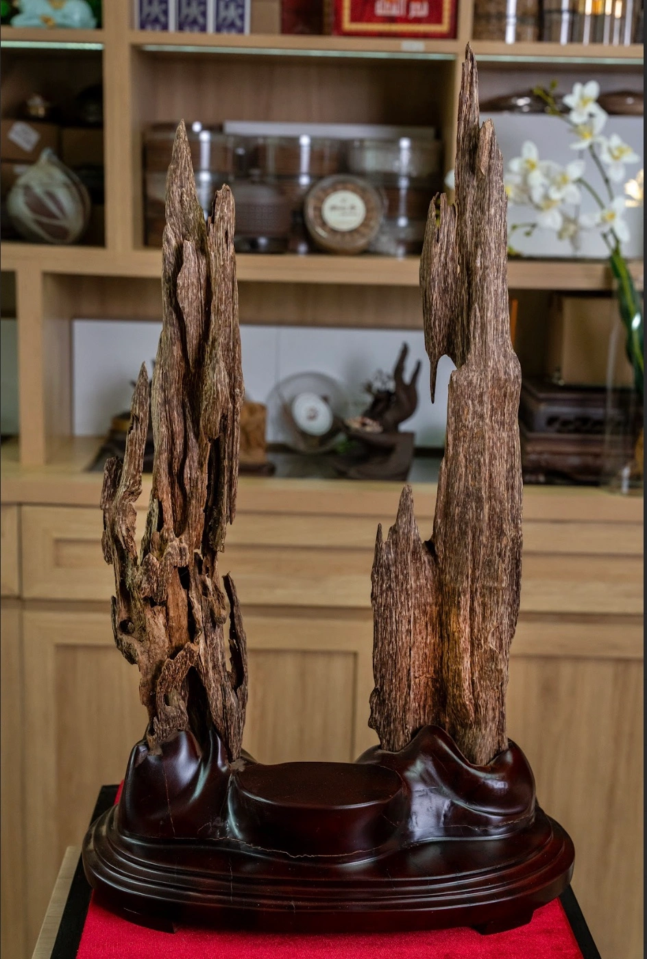 “Tinh Tam Son” Natural Agarwood Sculpture – Premium Feng Shui Display | Moc Tram Agarwood, Nha Trang